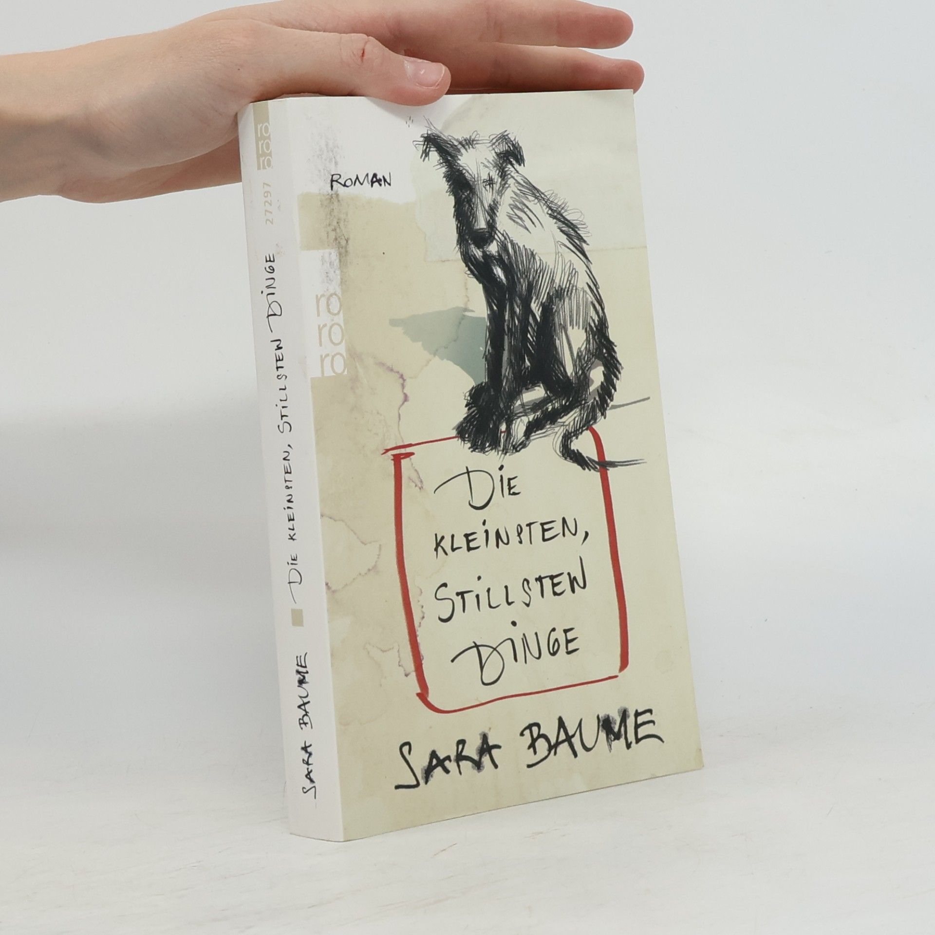 Sara Baume Die kleinsten, stillsten Dinge