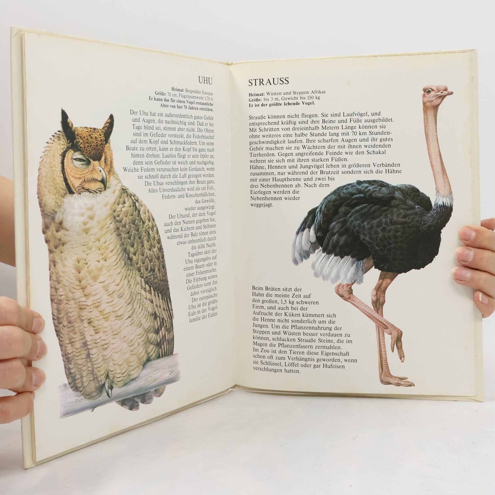 Autorenkollektiv Fantastische Vogel