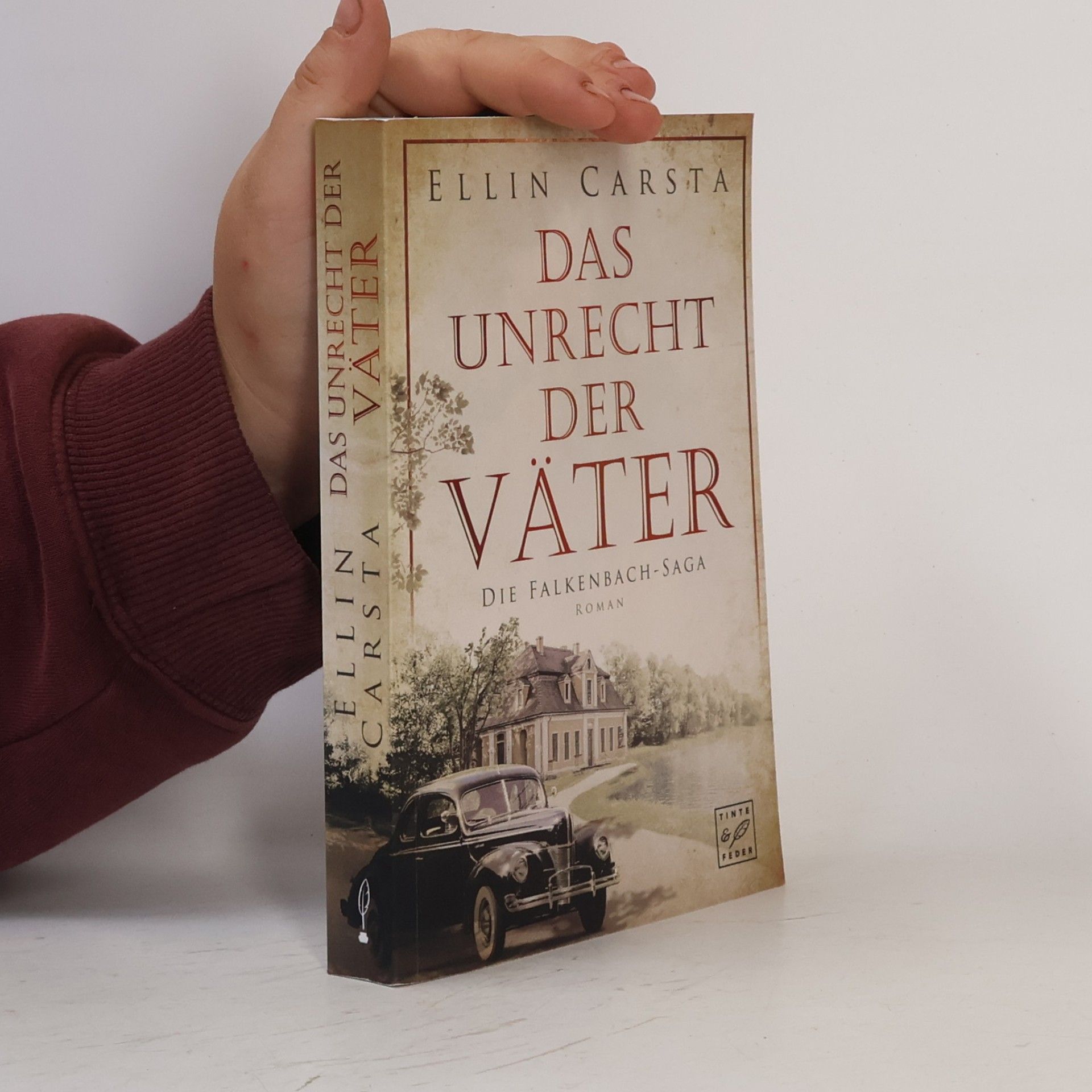 Ellin Carsta Das Unrecht der Väter