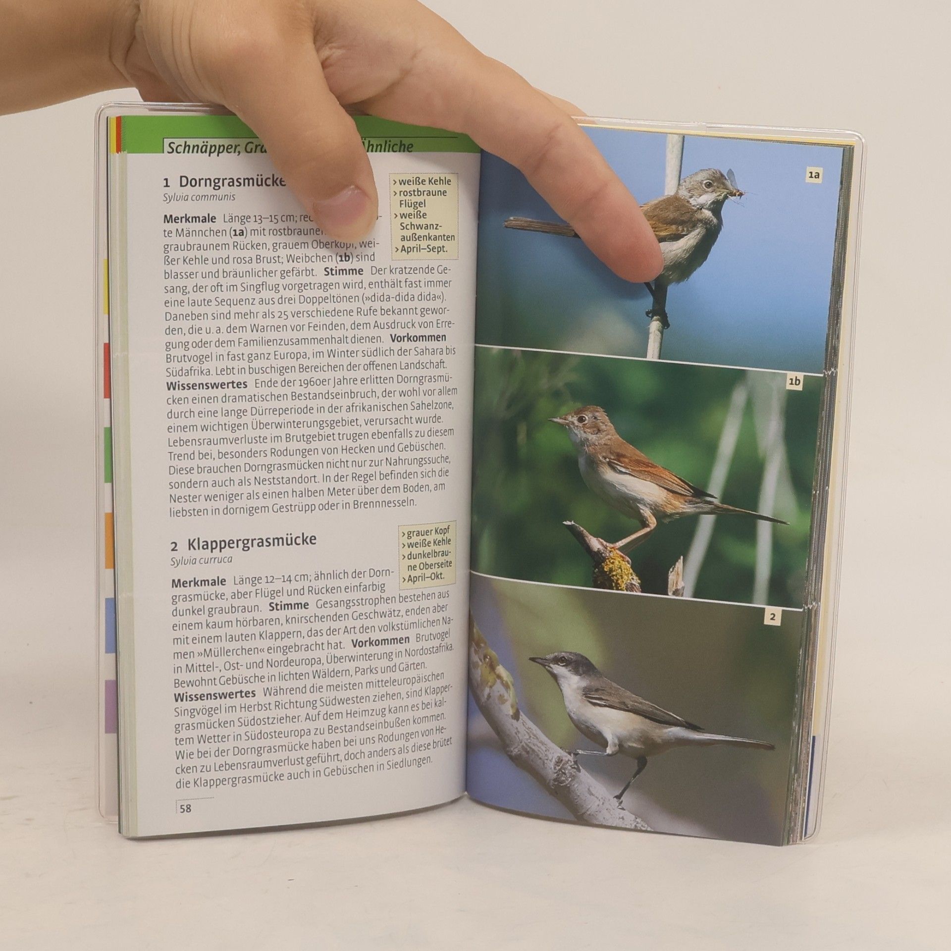 Volker Dierschke Welcher Singvogel ist das?
