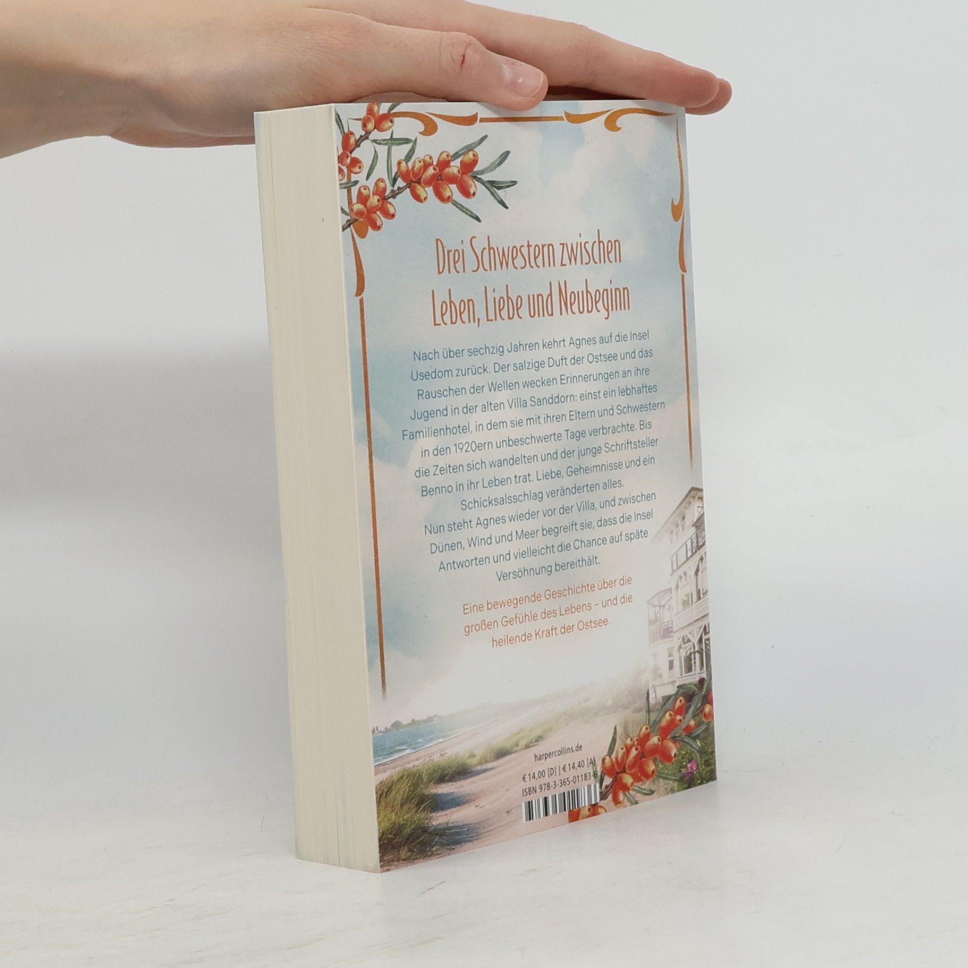 Kathleen Freitag Sanddornschwestern