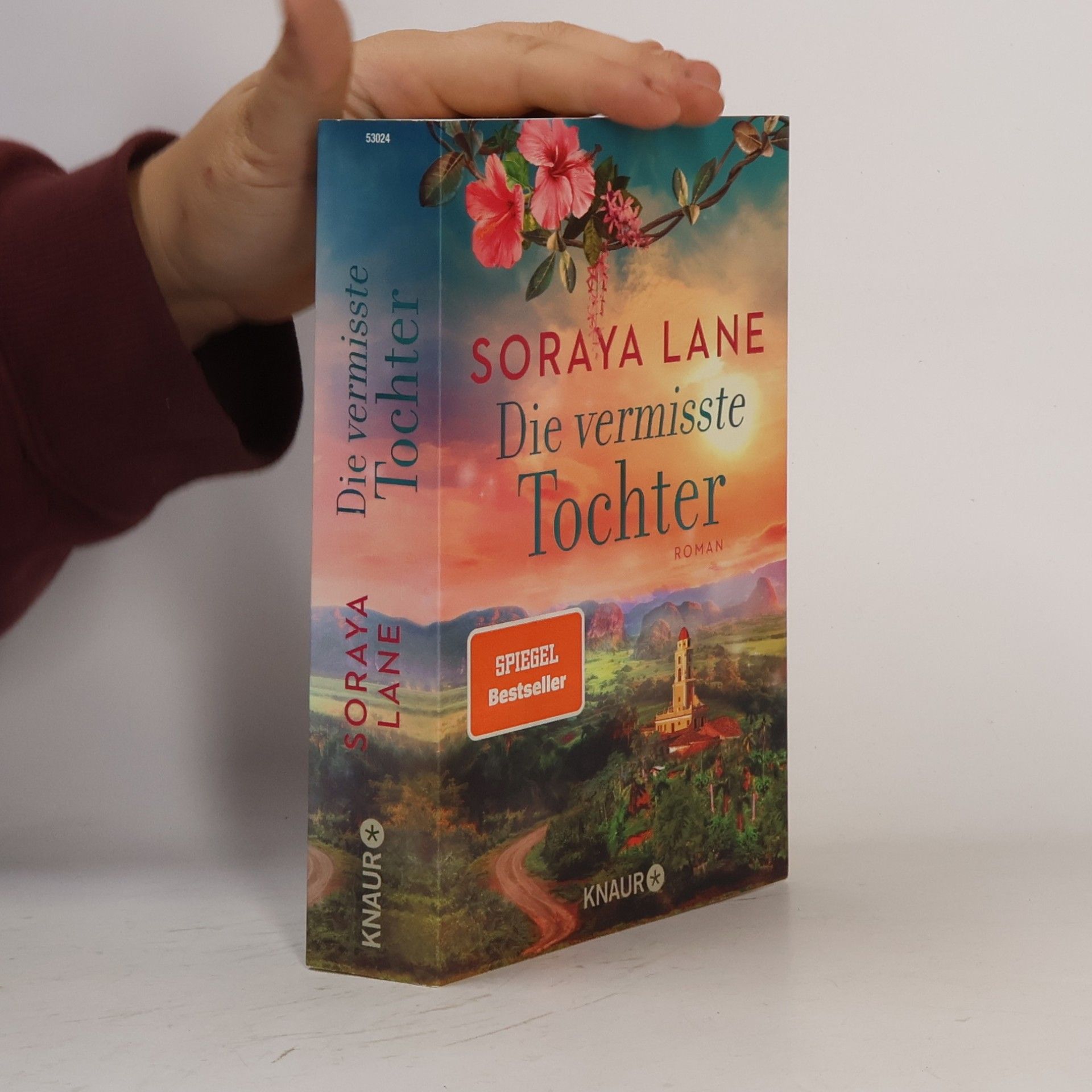 Soraya M. Lane Die vermisste Tochter