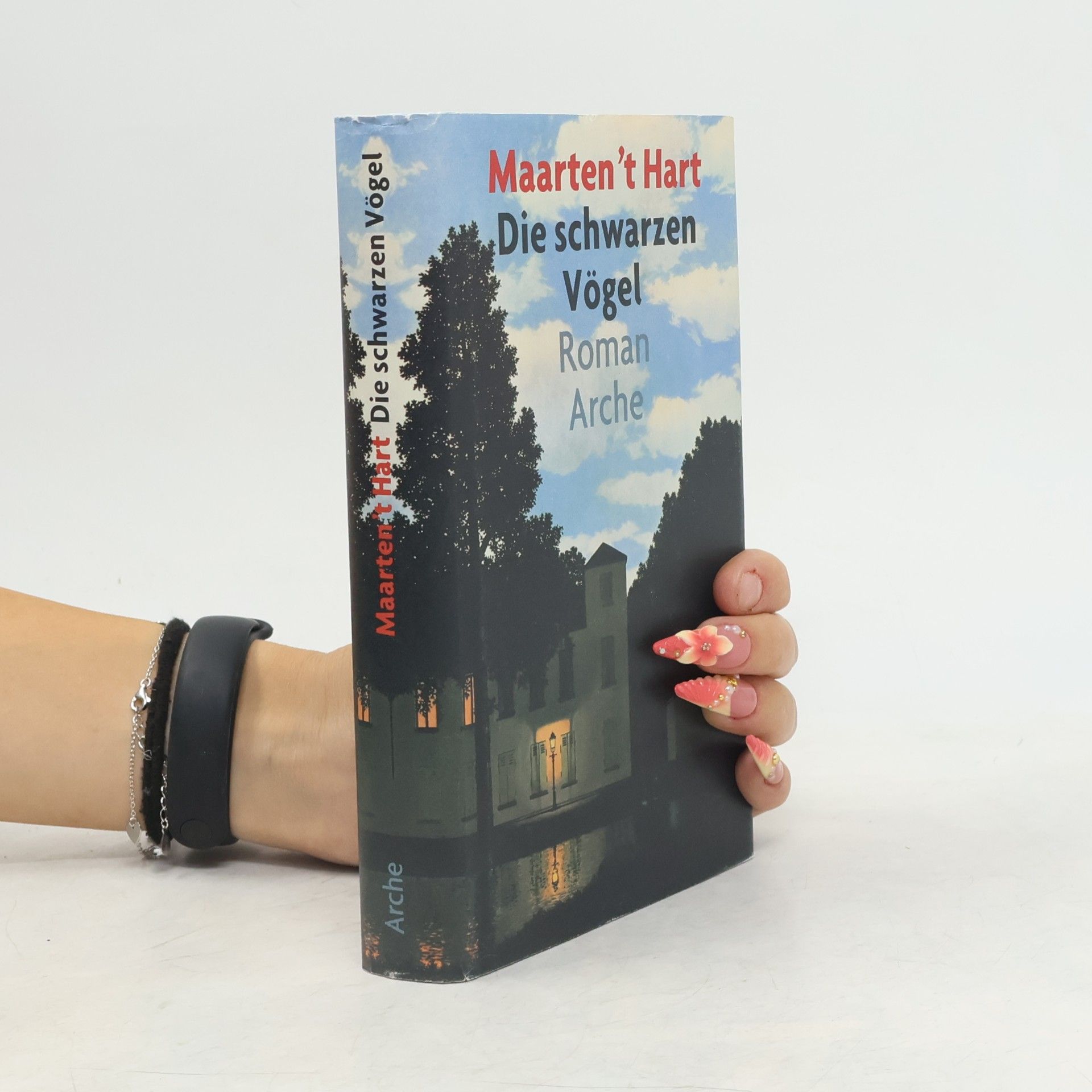 Maarten t. Hart Die schwarzen Vögel