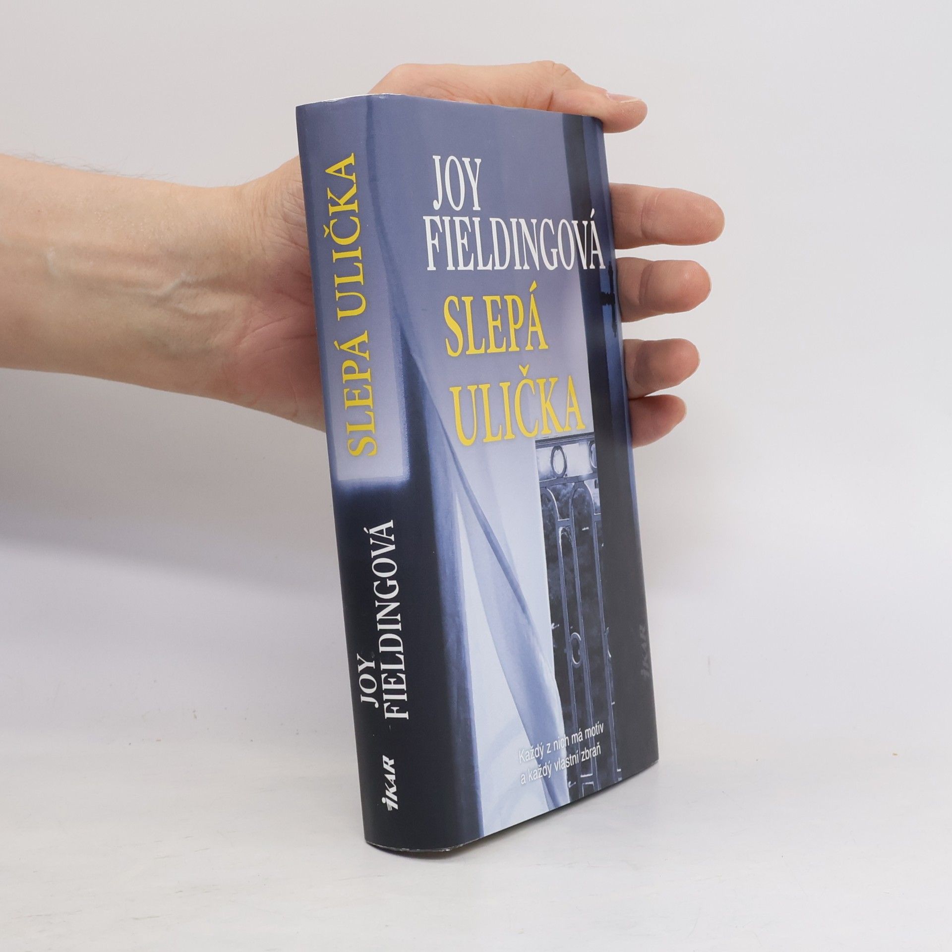 Joy Fielding Slepá ulička