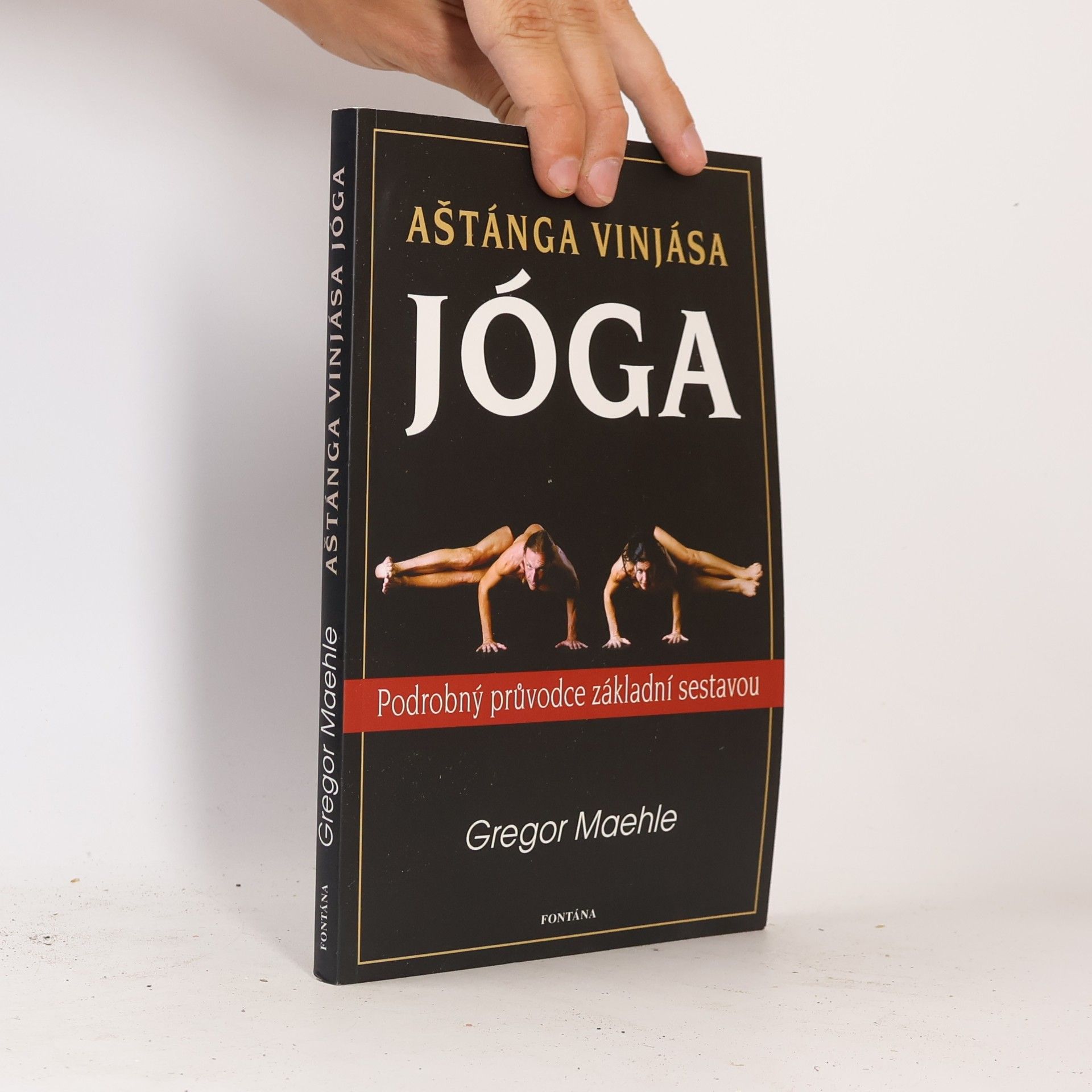 Gregor Maehle Aštánga vinjása jóga