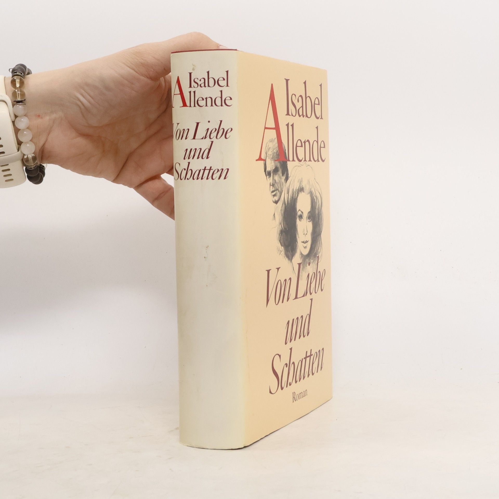 Isabel Allende Llona Von Liebe und Schatten