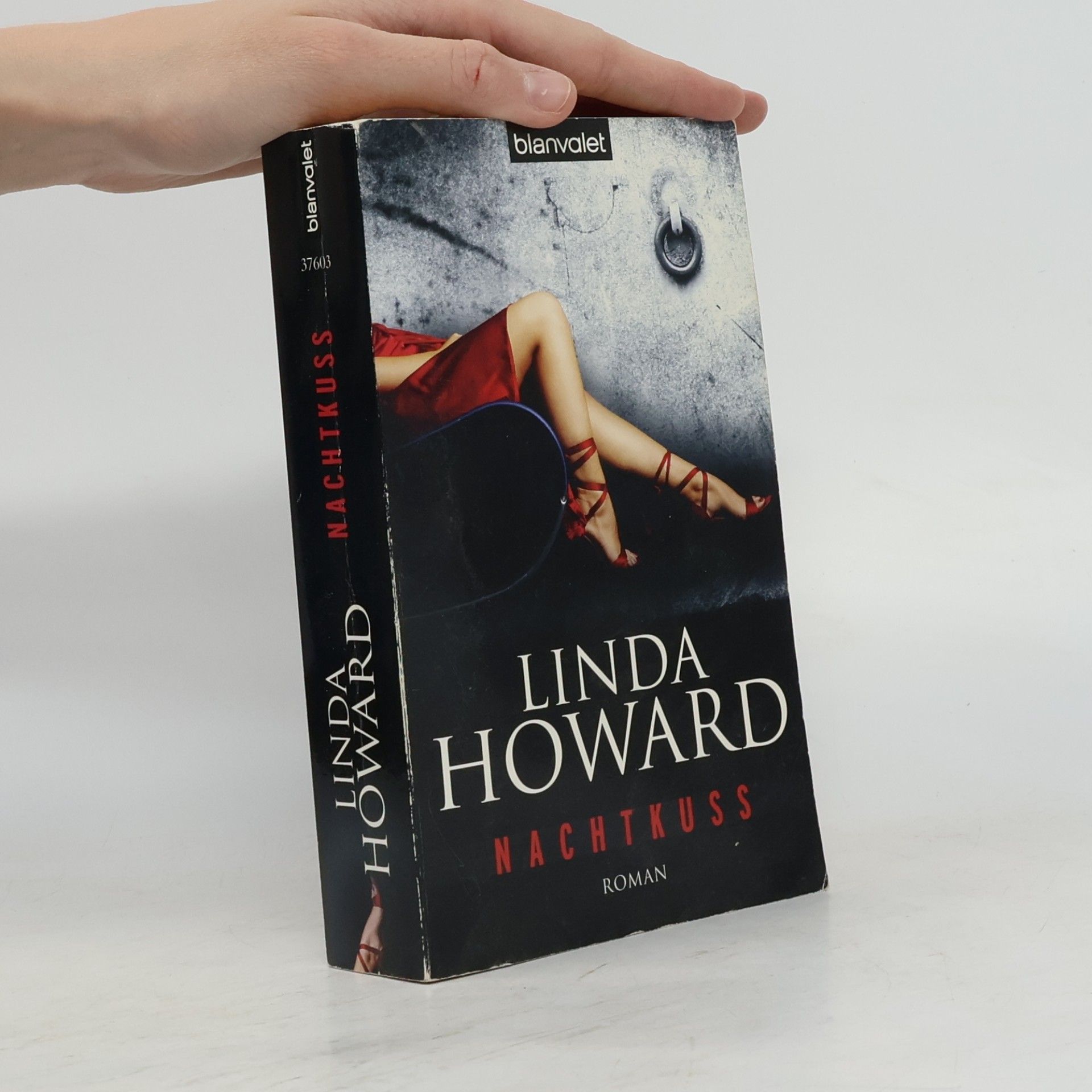 Linda Howard Nachtkuss