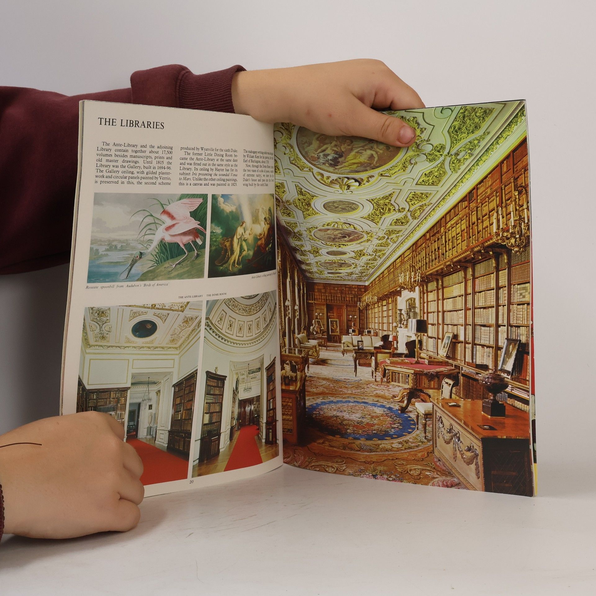 Collectif d'auteurs Chatsworth