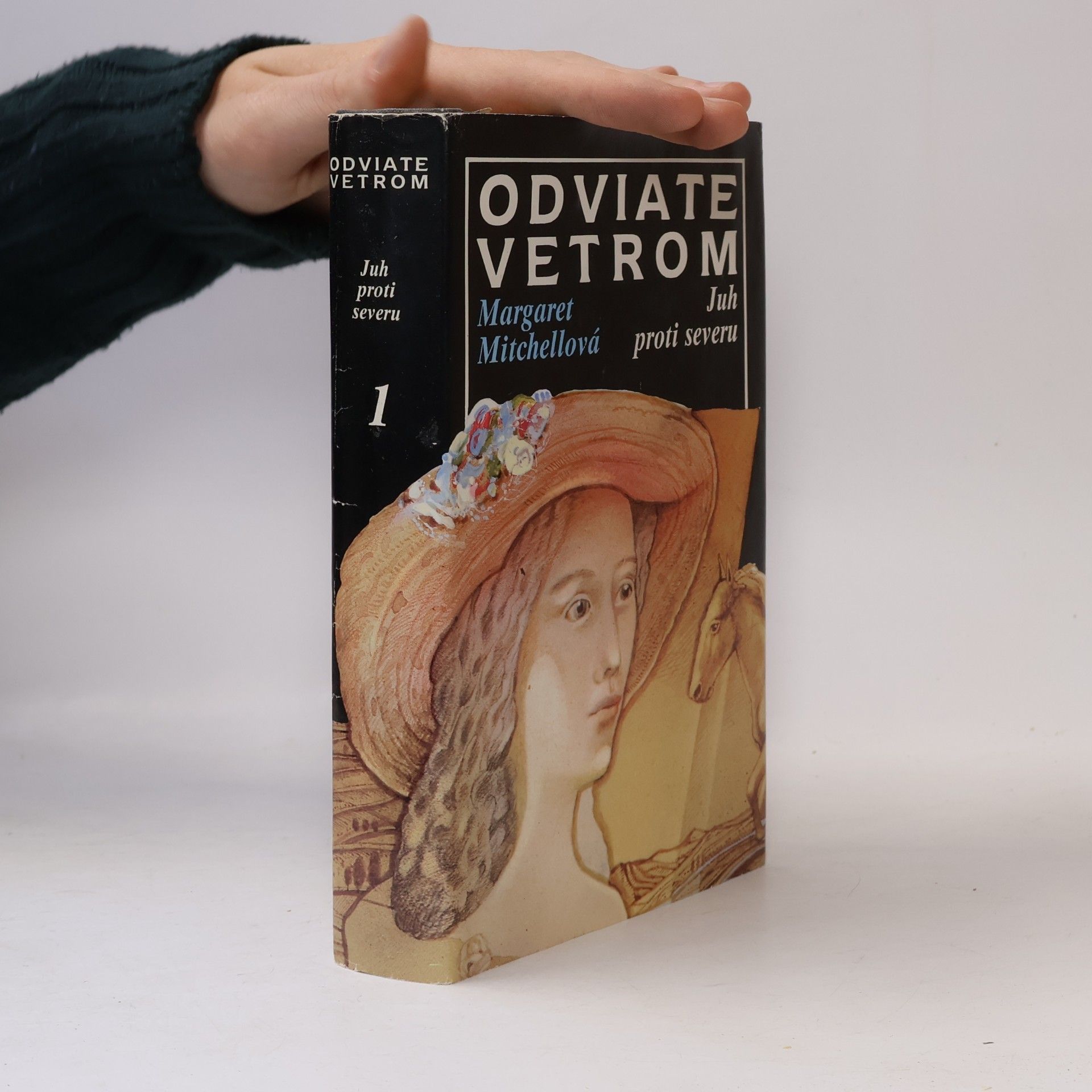 Margaret Mitchell Odviate vetrom 1. Juh proti severu