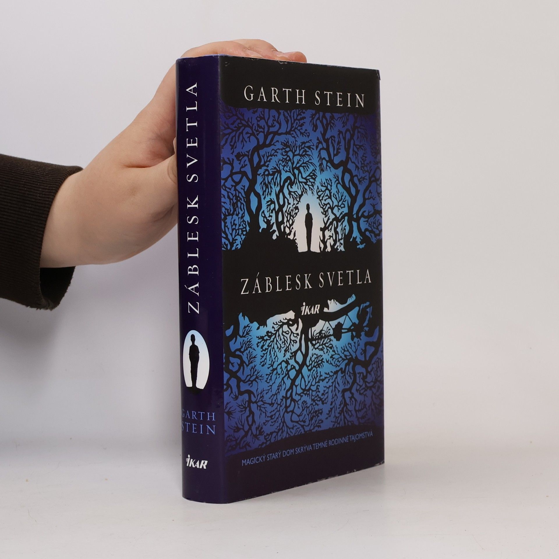 Garth Stein Záblesk svetla