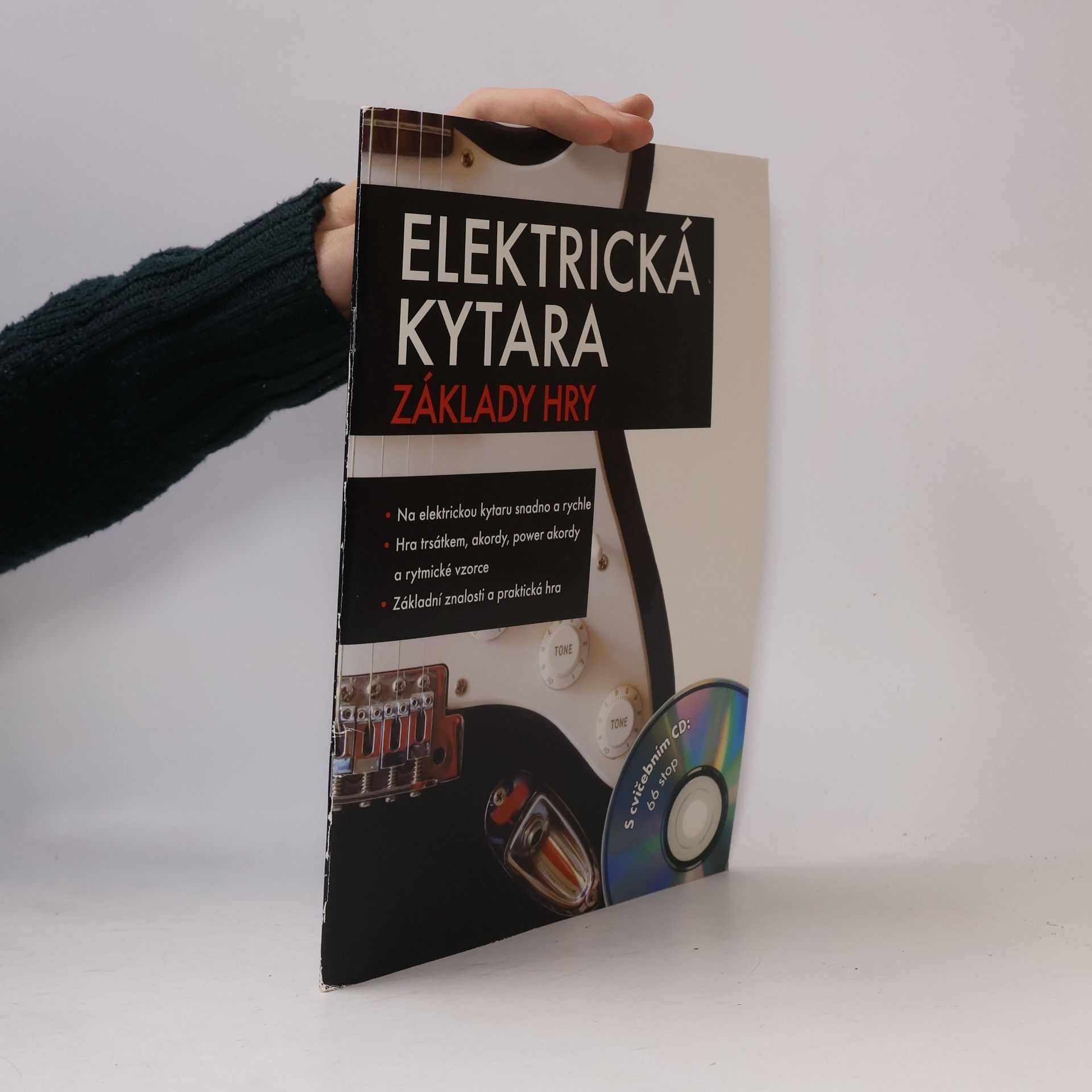 Franz Walter Elektrická kytara. Základy hry