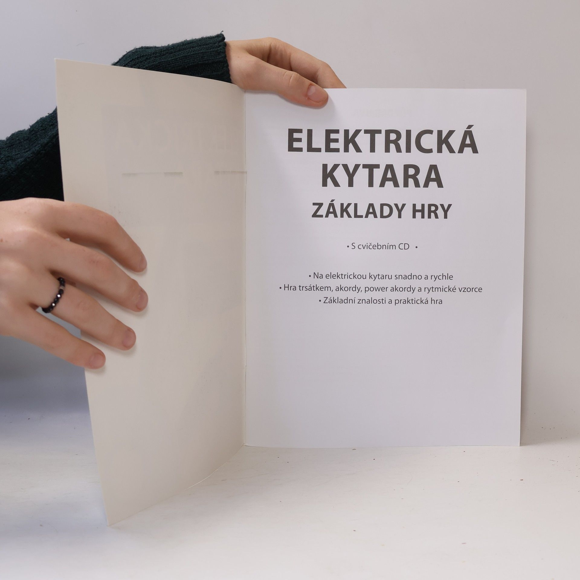 Franz Walter Elektrická kytara. Základy hry