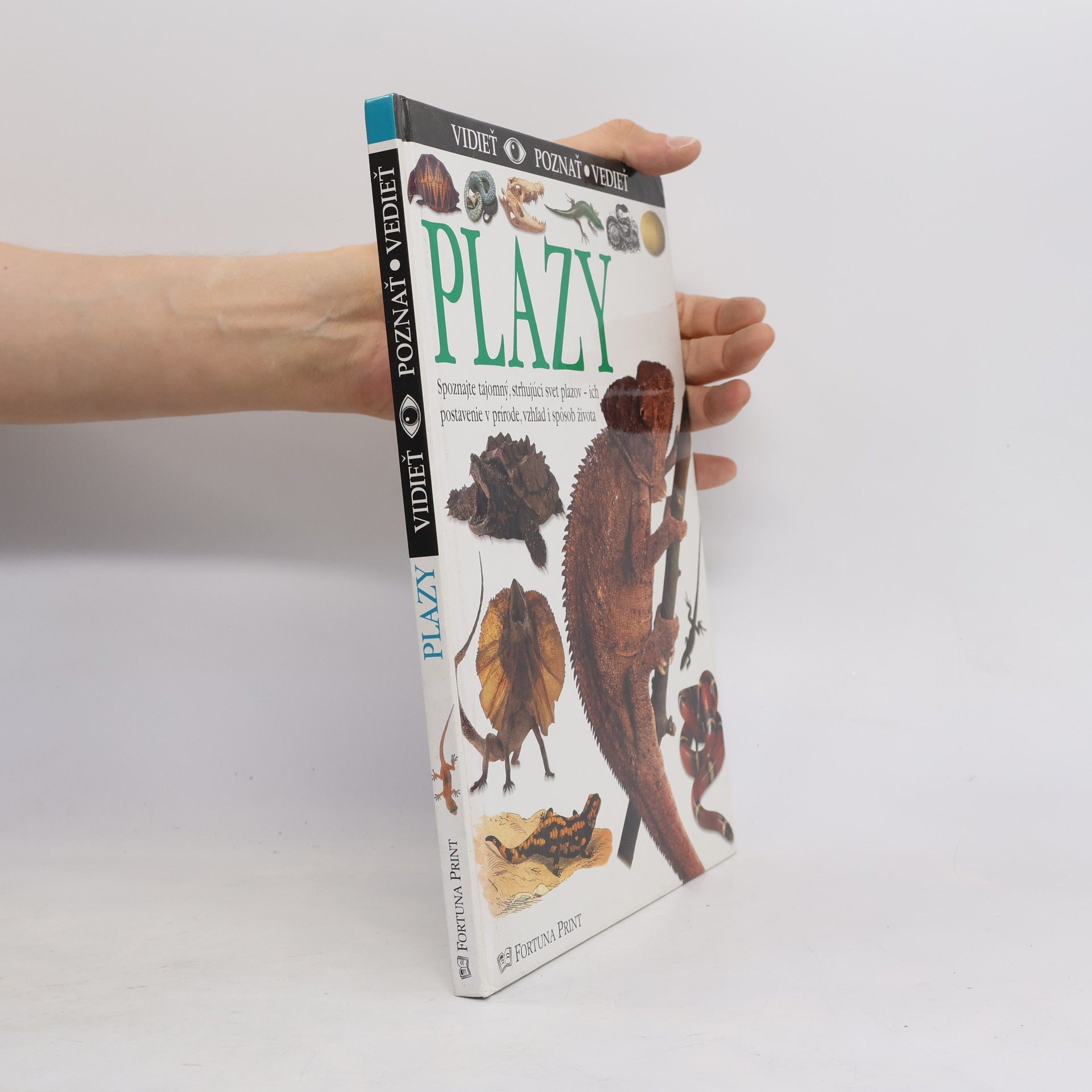 Auteurscollectief Plazy