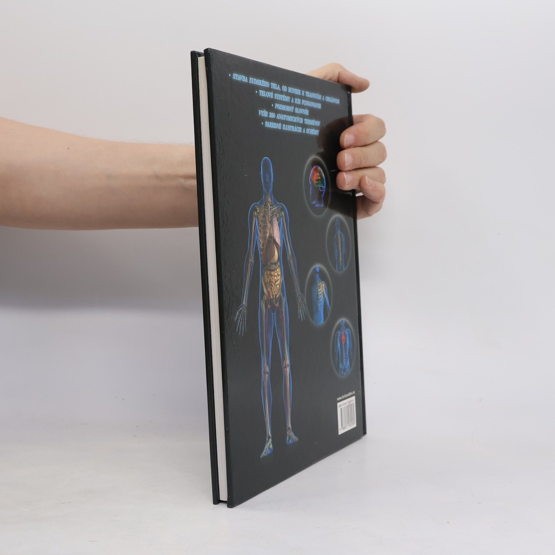 Autorenkollektiv Atlas ľudského tela