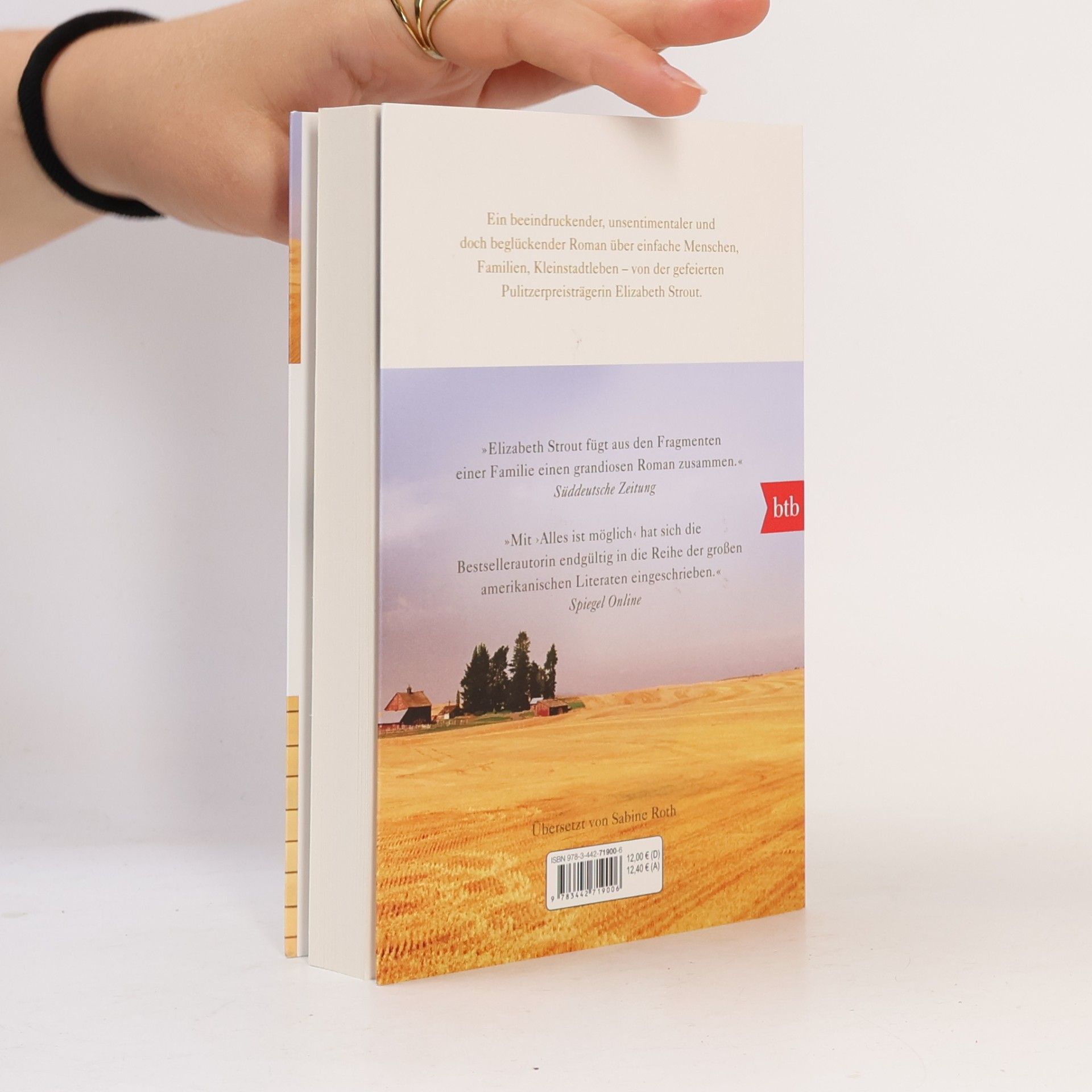 Elizabeth Strout Alles ist möglich