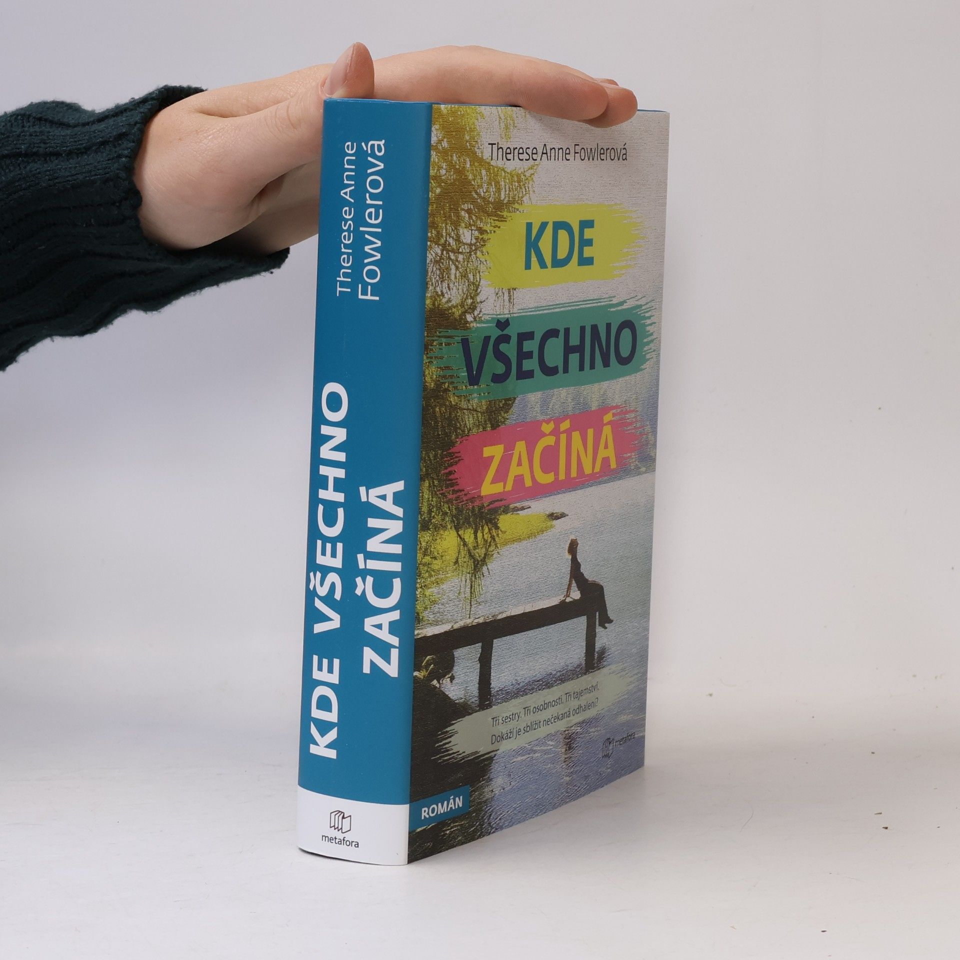 Therese Fowler Kde všechno začíná