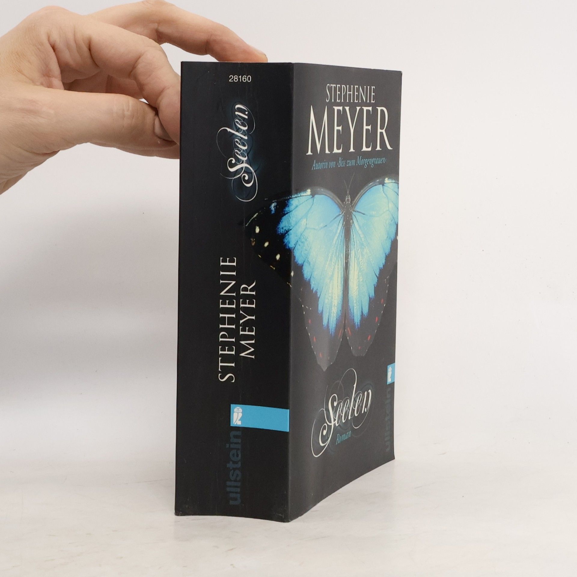 Stephenie Meyer Seelen