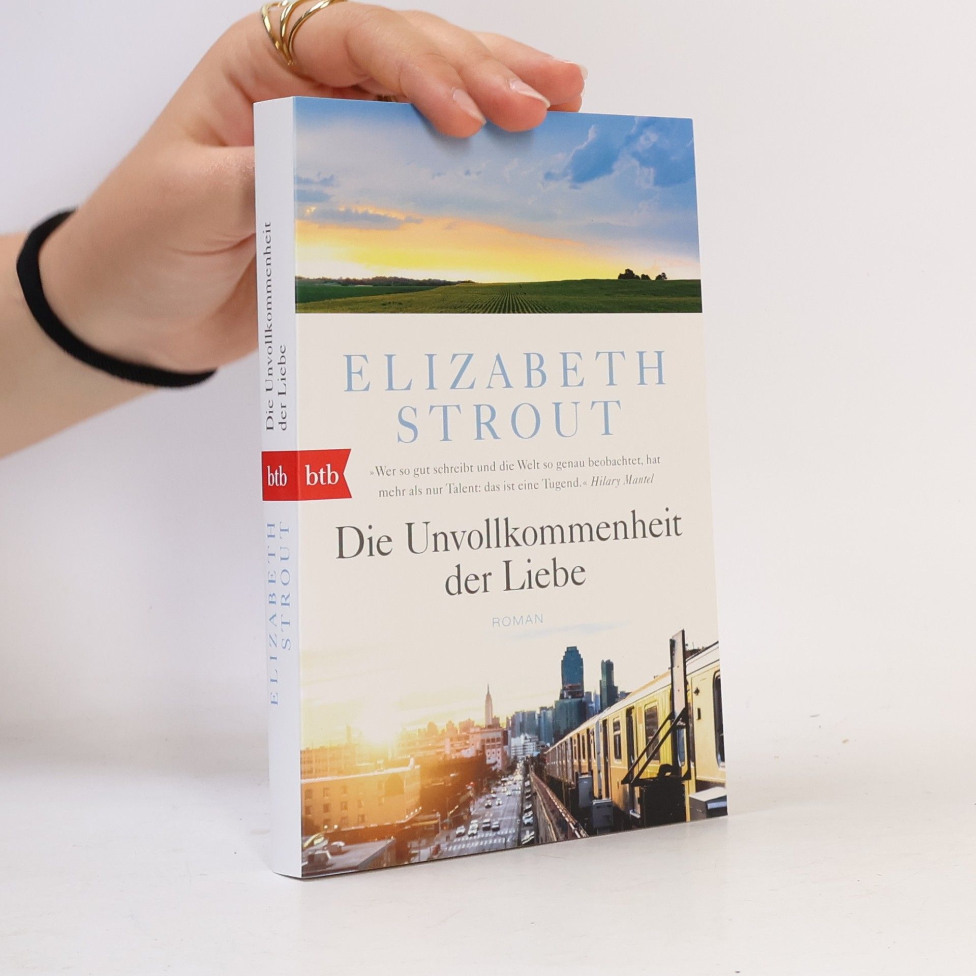 Elizabeth Strout Die Unvollkommenheit der Liebe