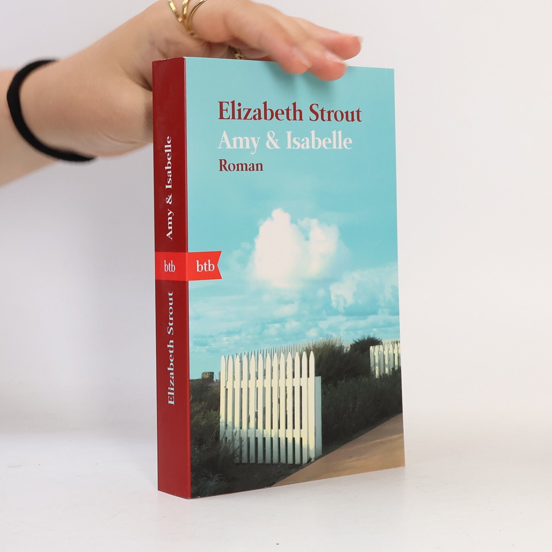 Elizabeth Strout Amy & Isabelle