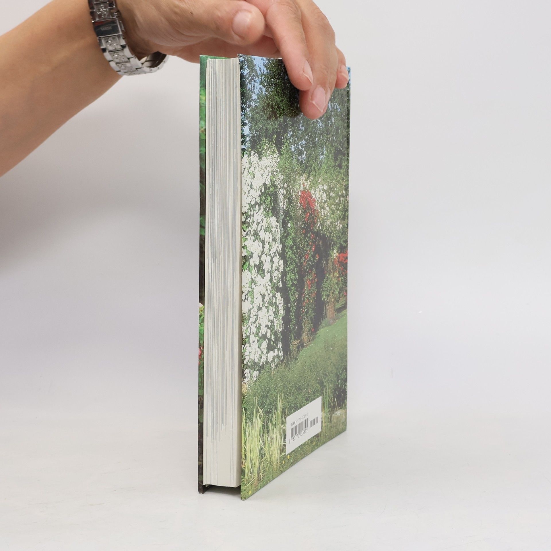 David Austin Strauchrosen und Kletterrosen. Mit Teehybriden und Floribunda- Rosen