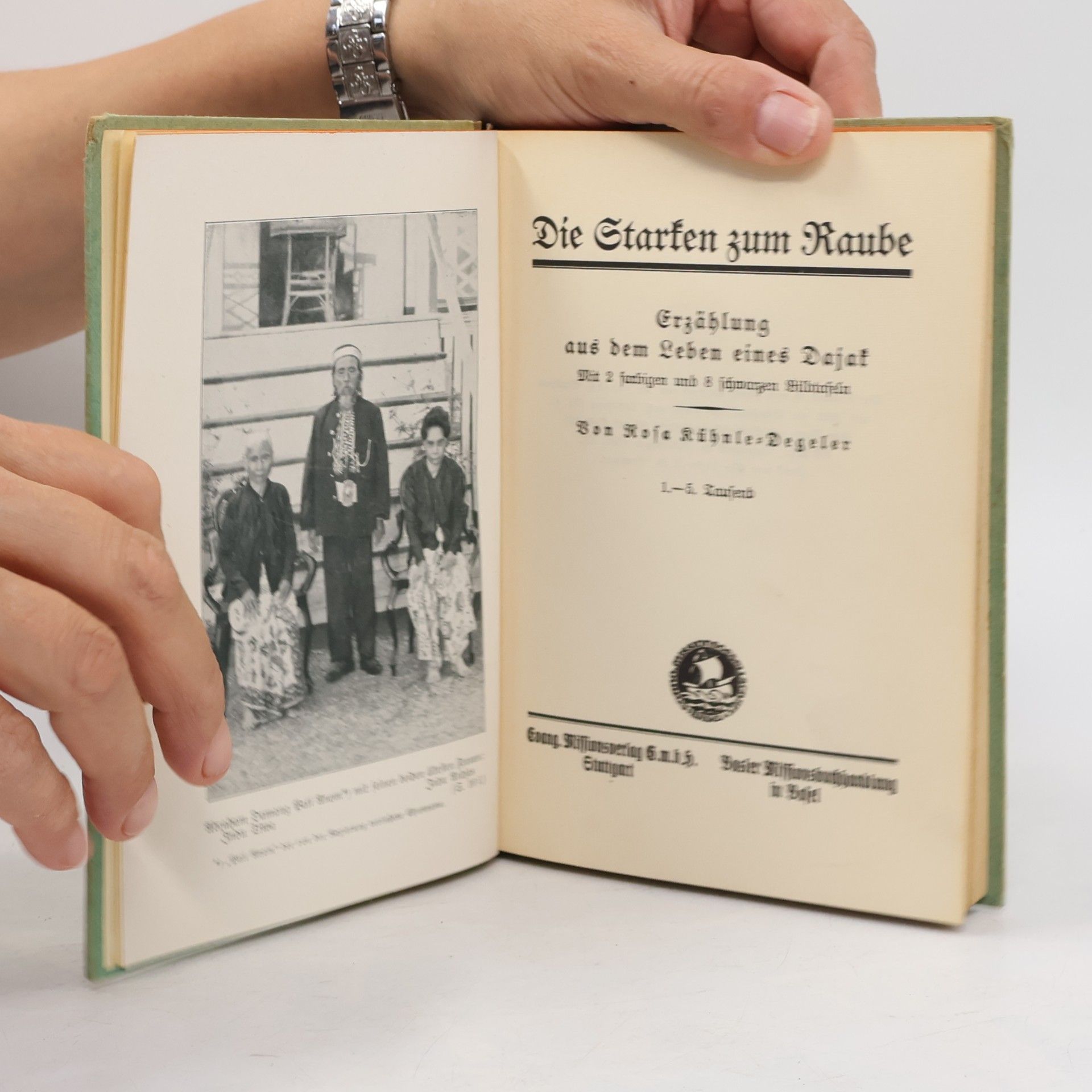 Rosa Kühnle-Degeler Die Starken zum Raube
