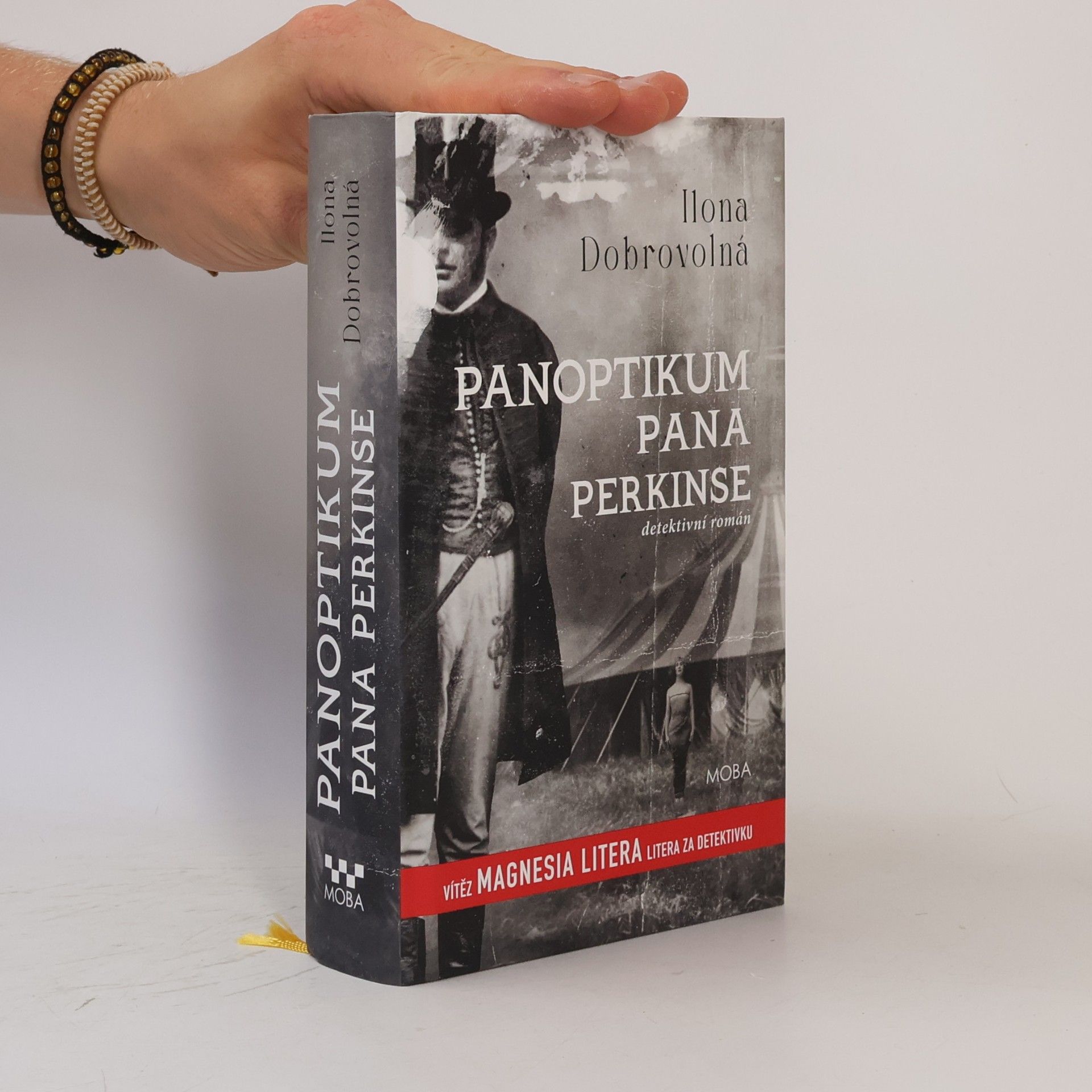 Ilona Dobrovolná Panoptikum pana Perkinse