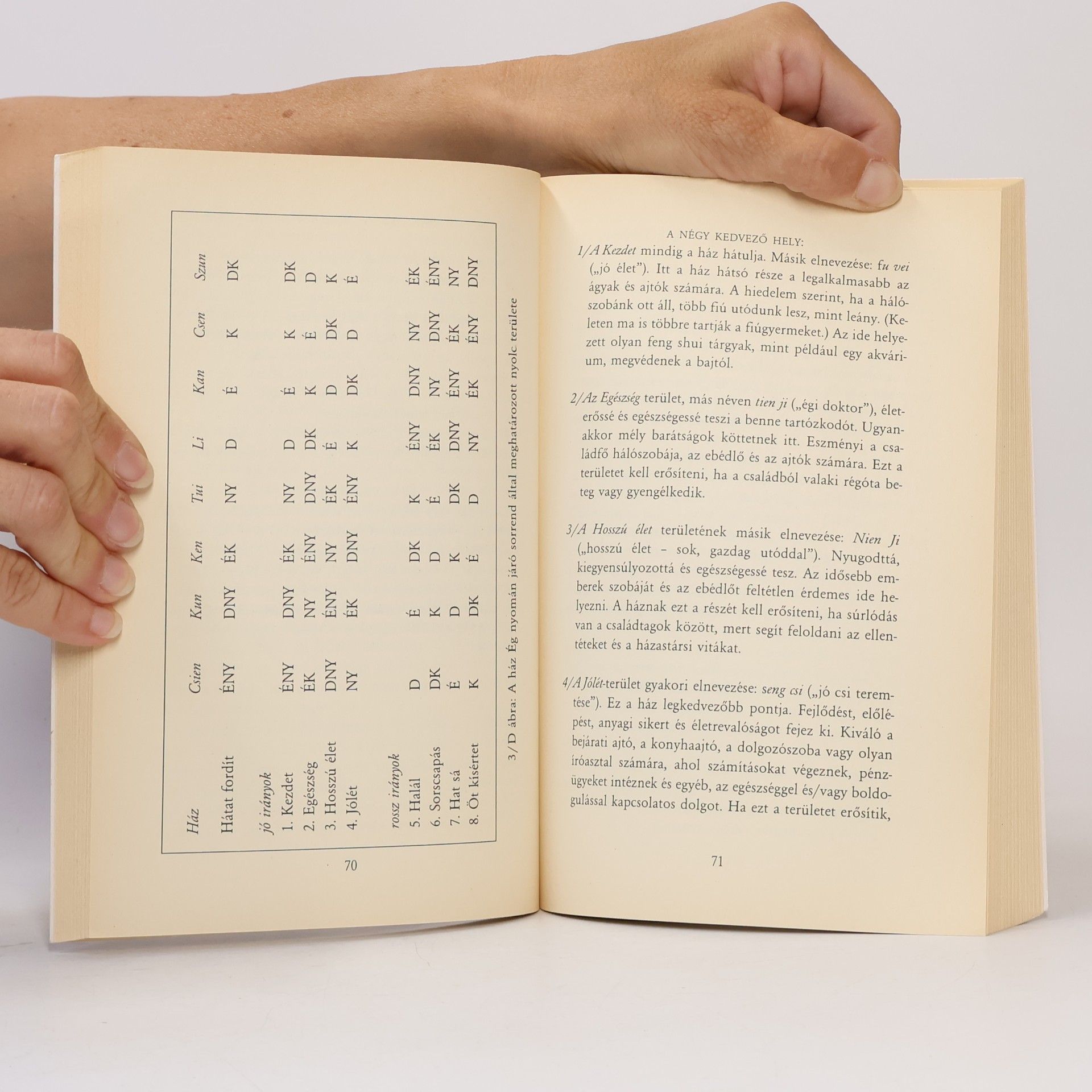 Richard Webster Feng shui a gyakorlatban