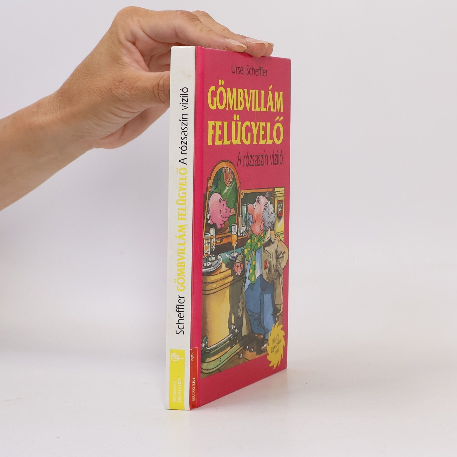 Ursula Kohlsaat-Scheffler Gömbvillám felügyelő
