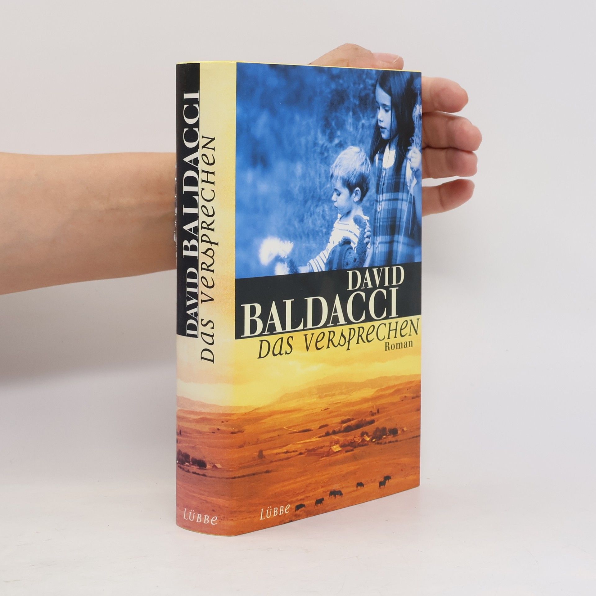 David Baldacci Das Versprechen
