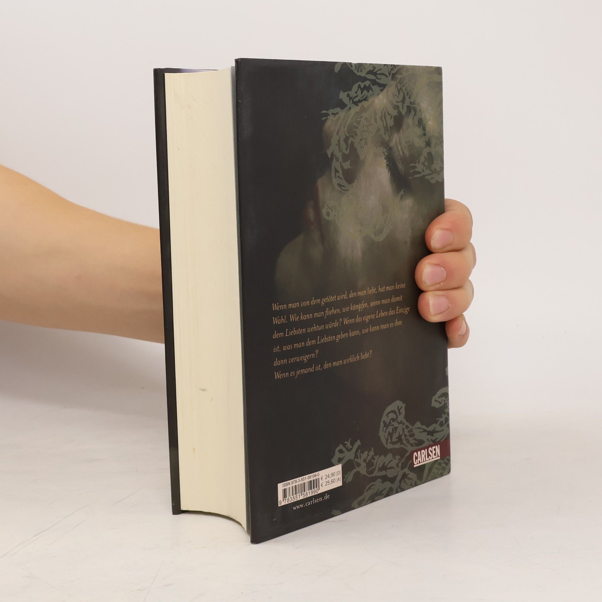 Stephenie Meyer Biss zum Ende der Nacht