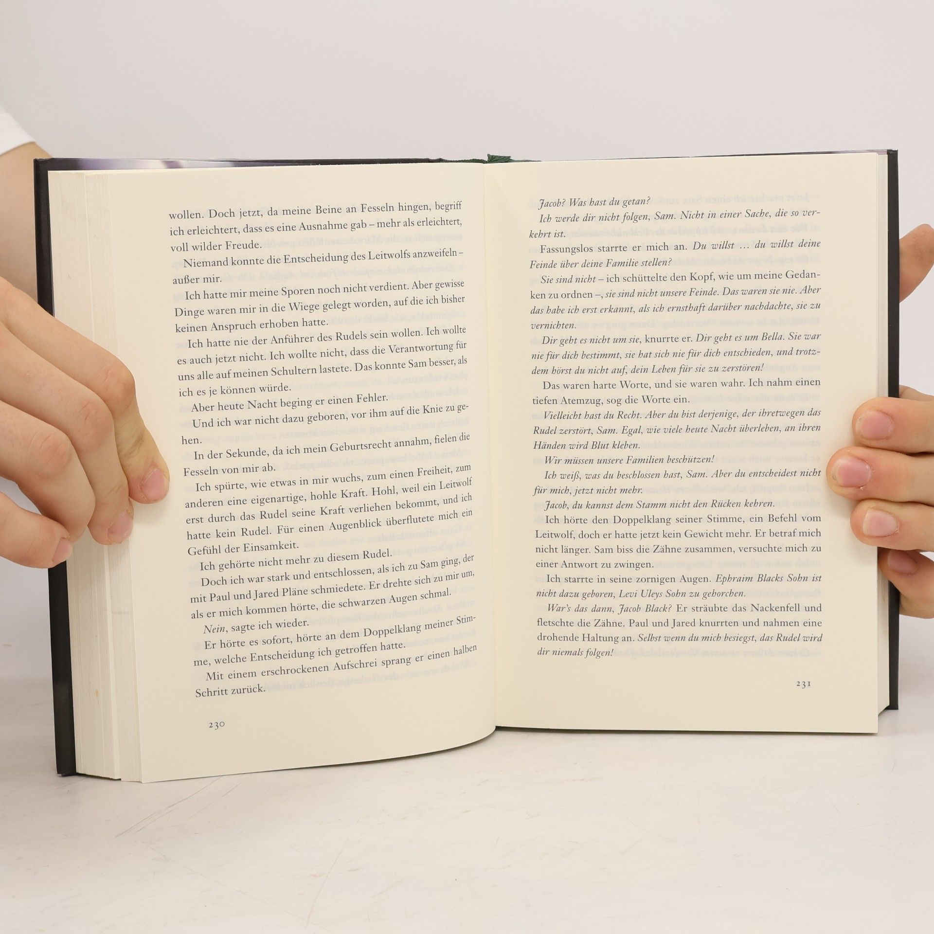 Stephenie Meyer Biss zum Ende der Nacht