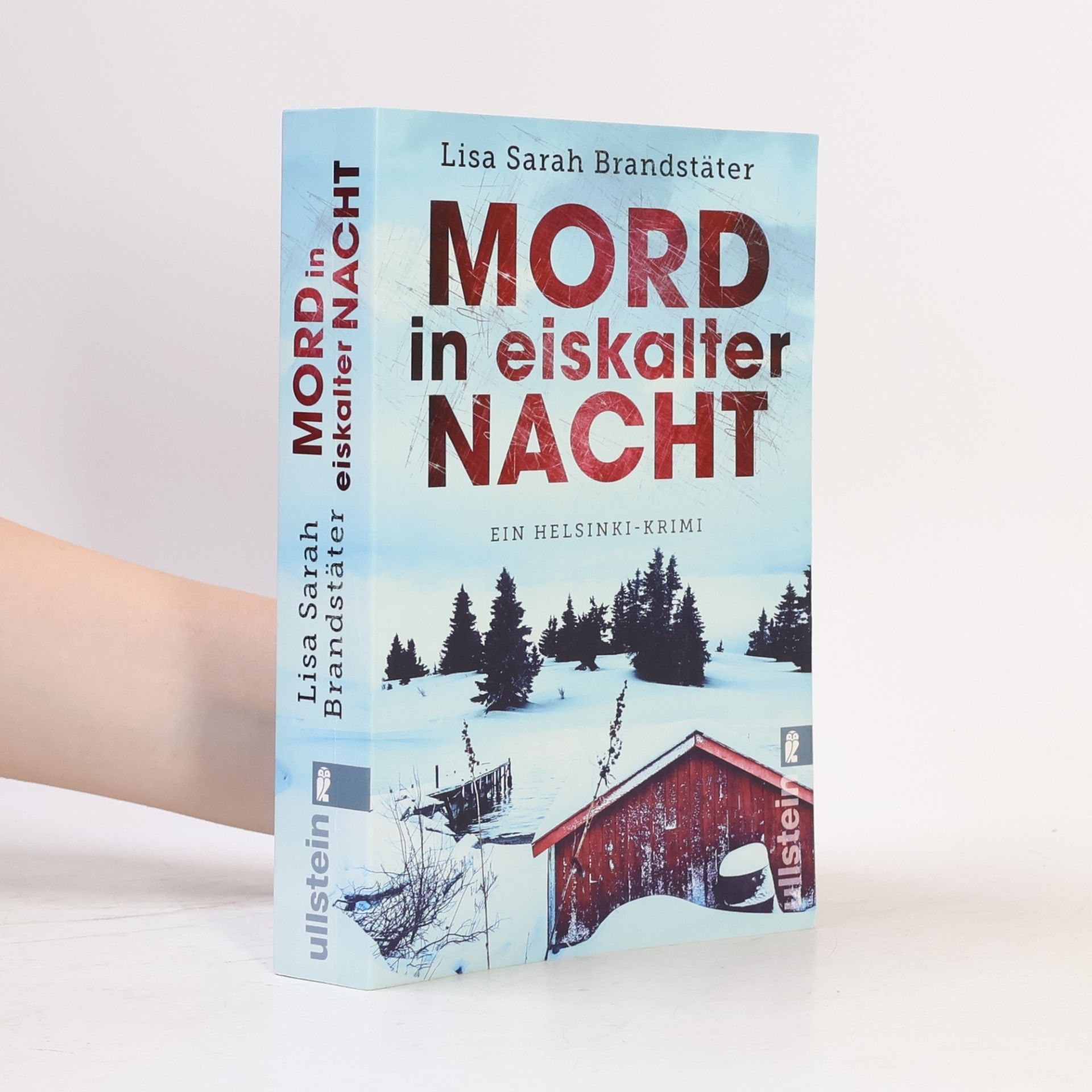 Lisa Sarah Brandstäter Mord in eiskalter Nacht