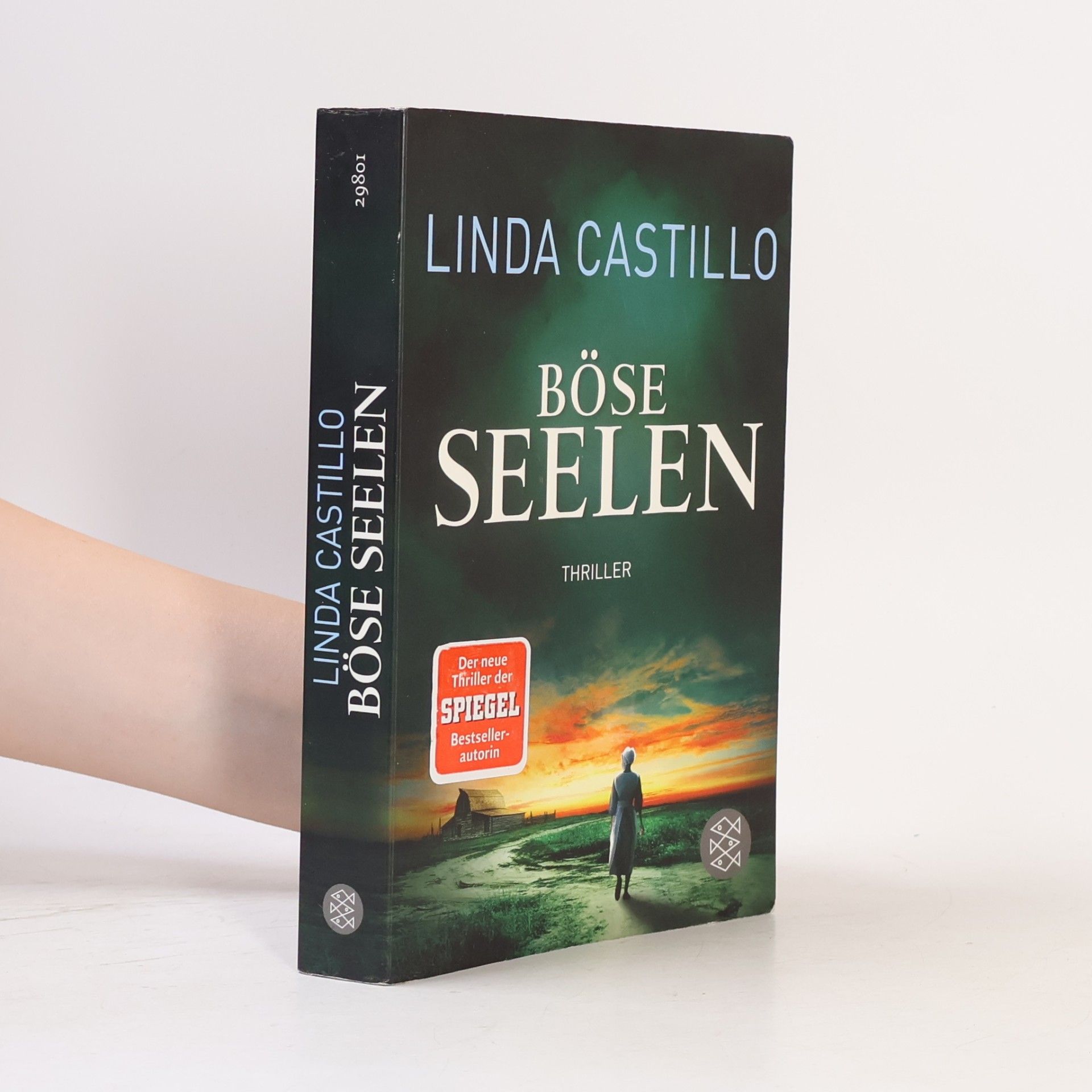 Linda Castillo Böse Seelen