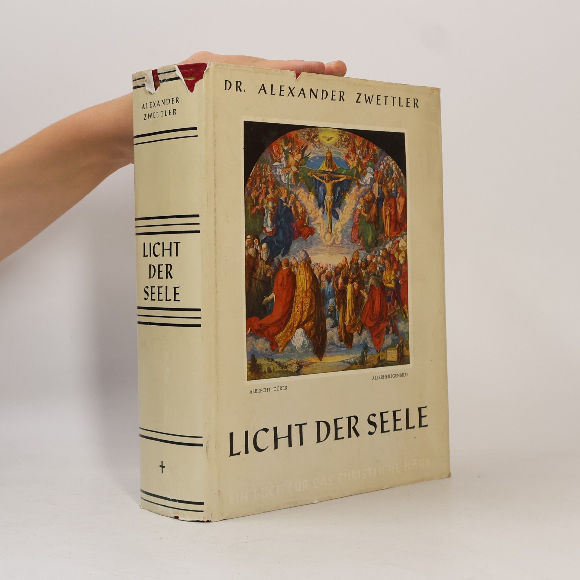 Alexander Zwettler Licht der Seele
