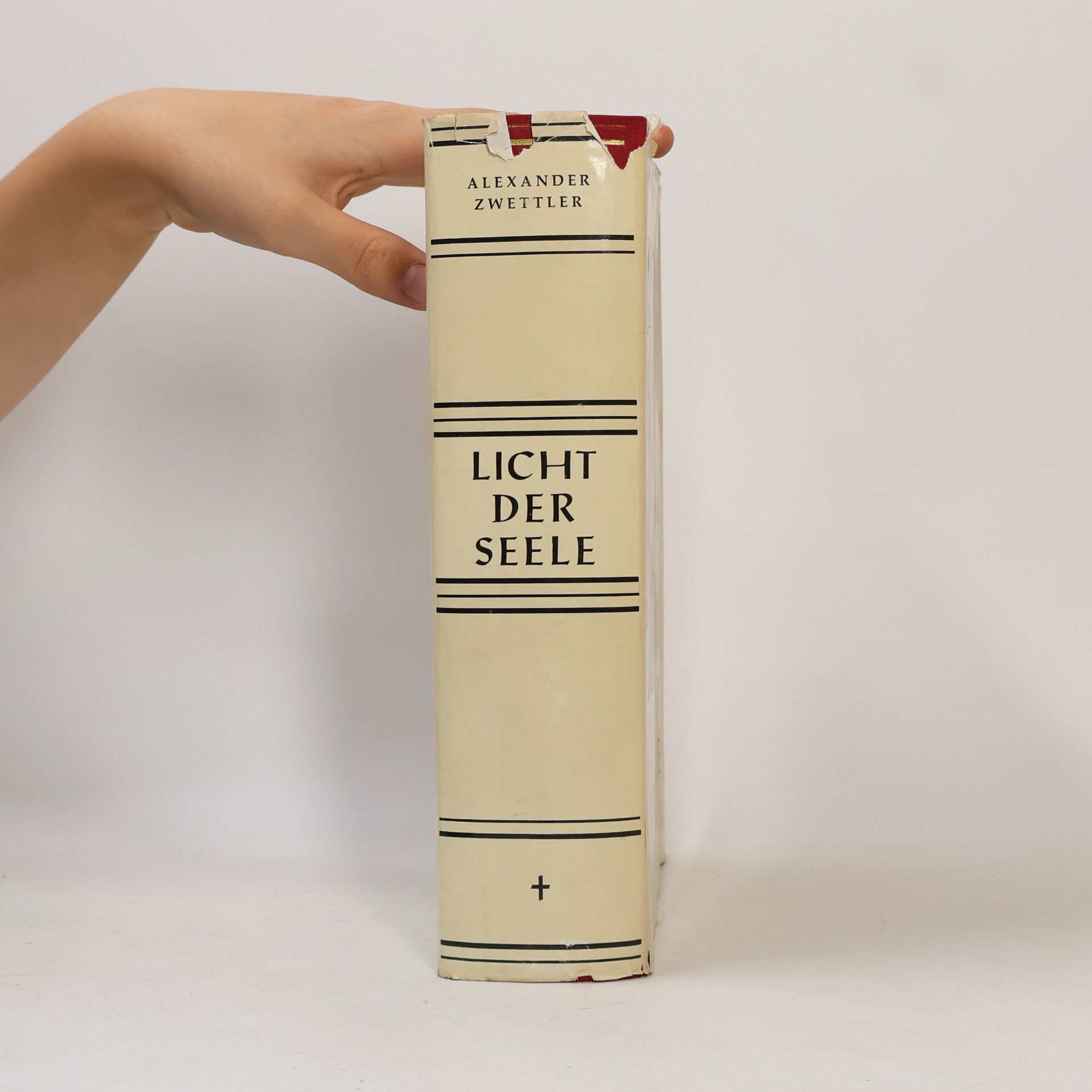 Alexander Zwettler Licht der Seele