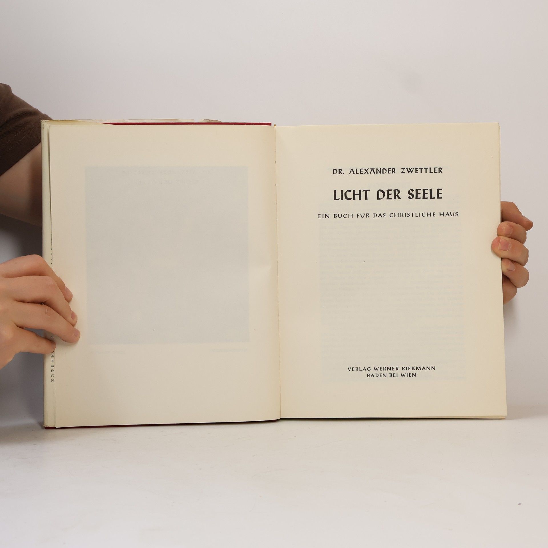 Alexander Zwettler Licht der Seele