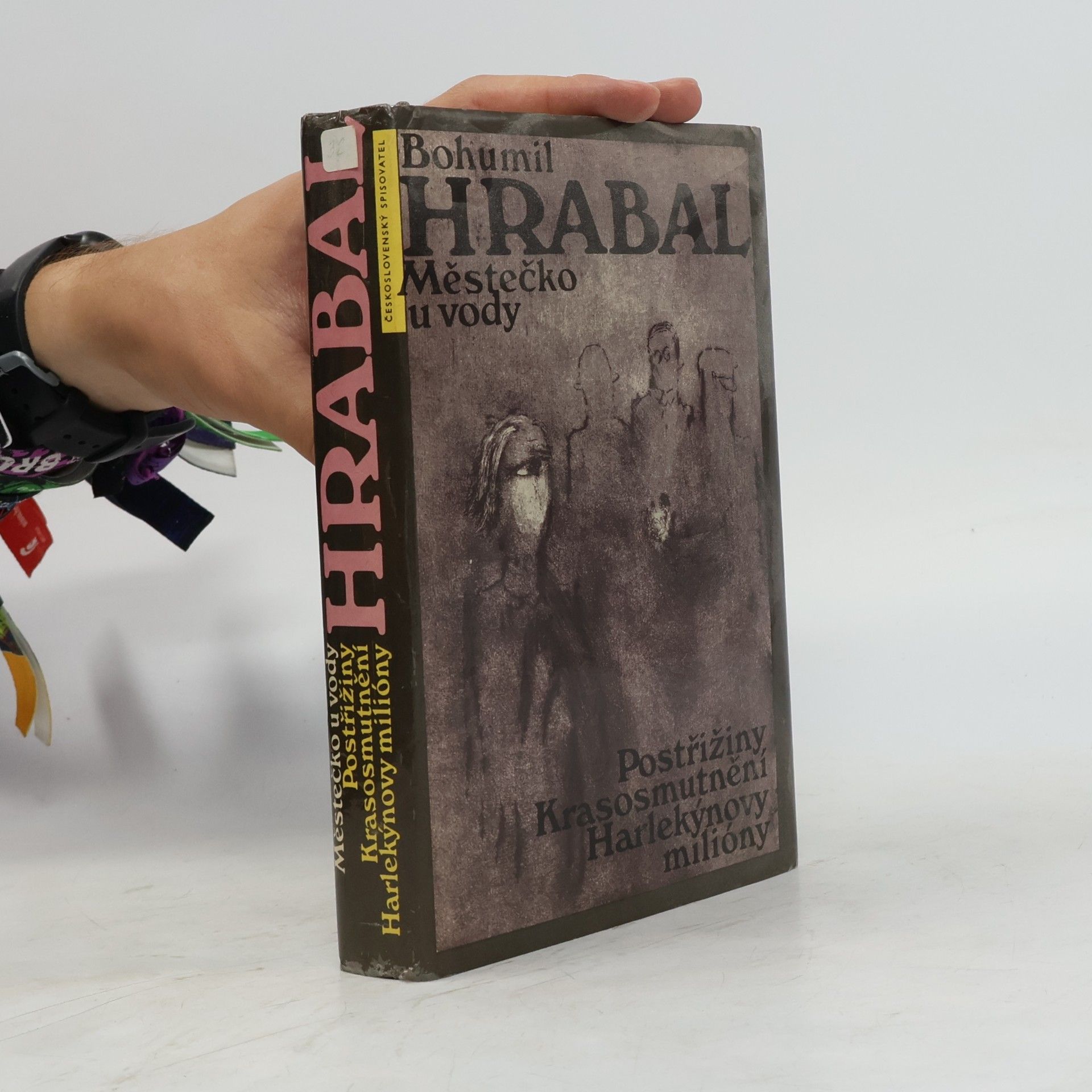 Bohumil Hrabal Městečko u vody