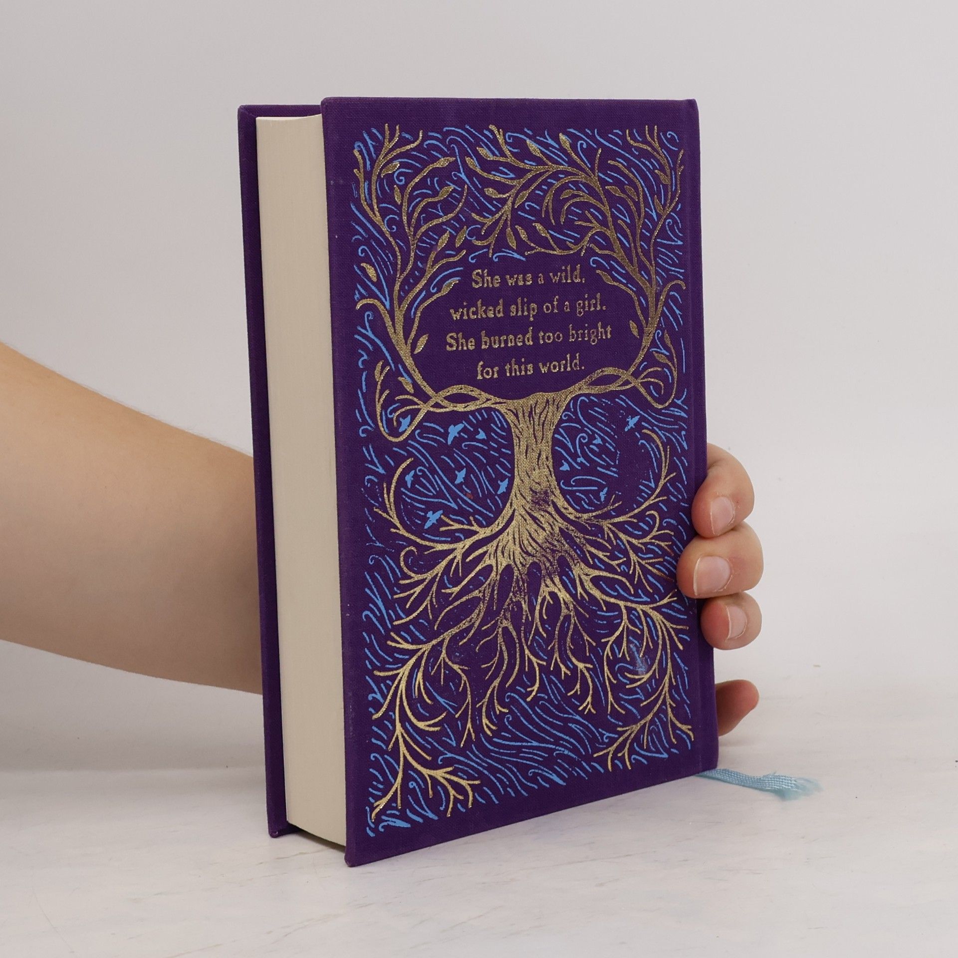 Emily Brontë Wuthering Heights