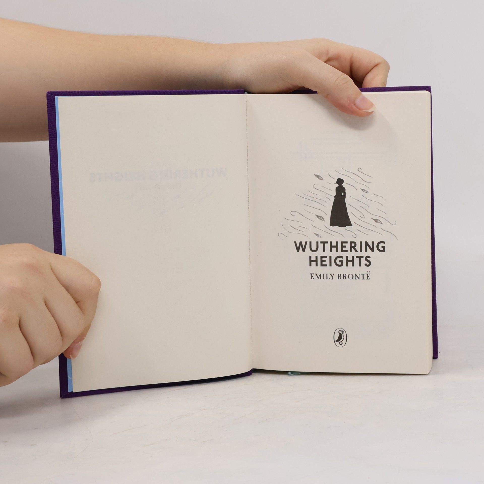 Emily Brontë Wuthering Heights