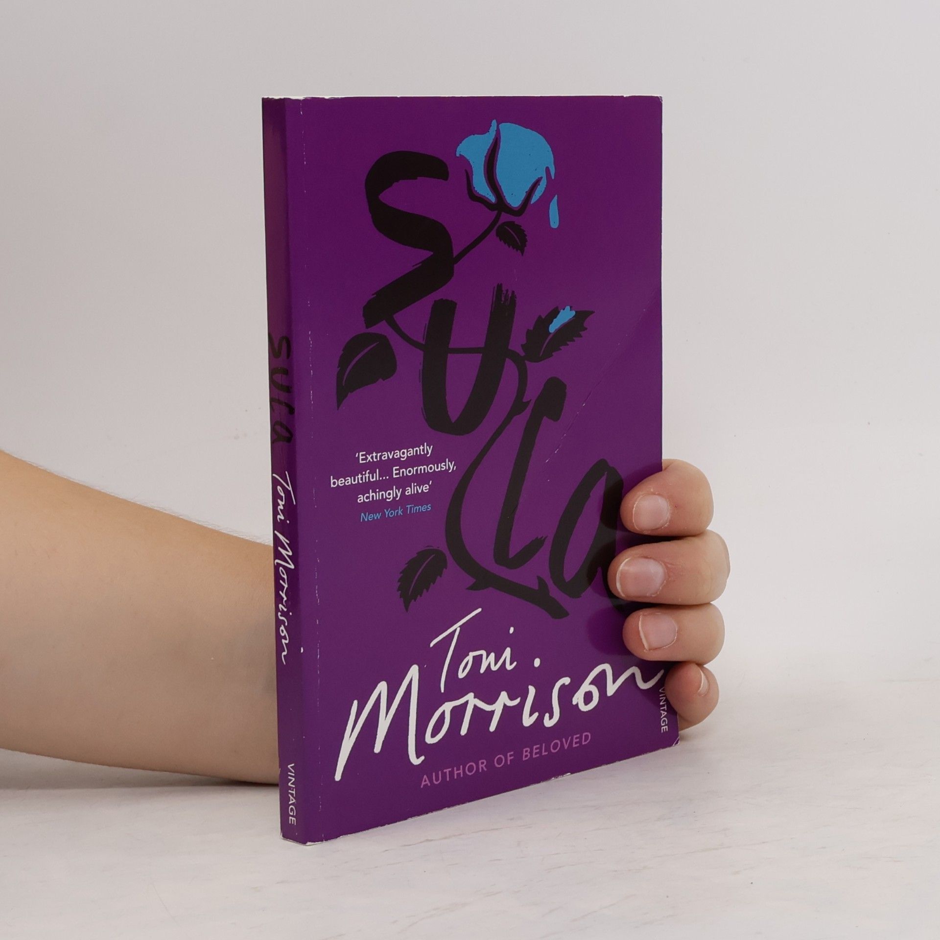 Toni Morrison Vintage: Sula