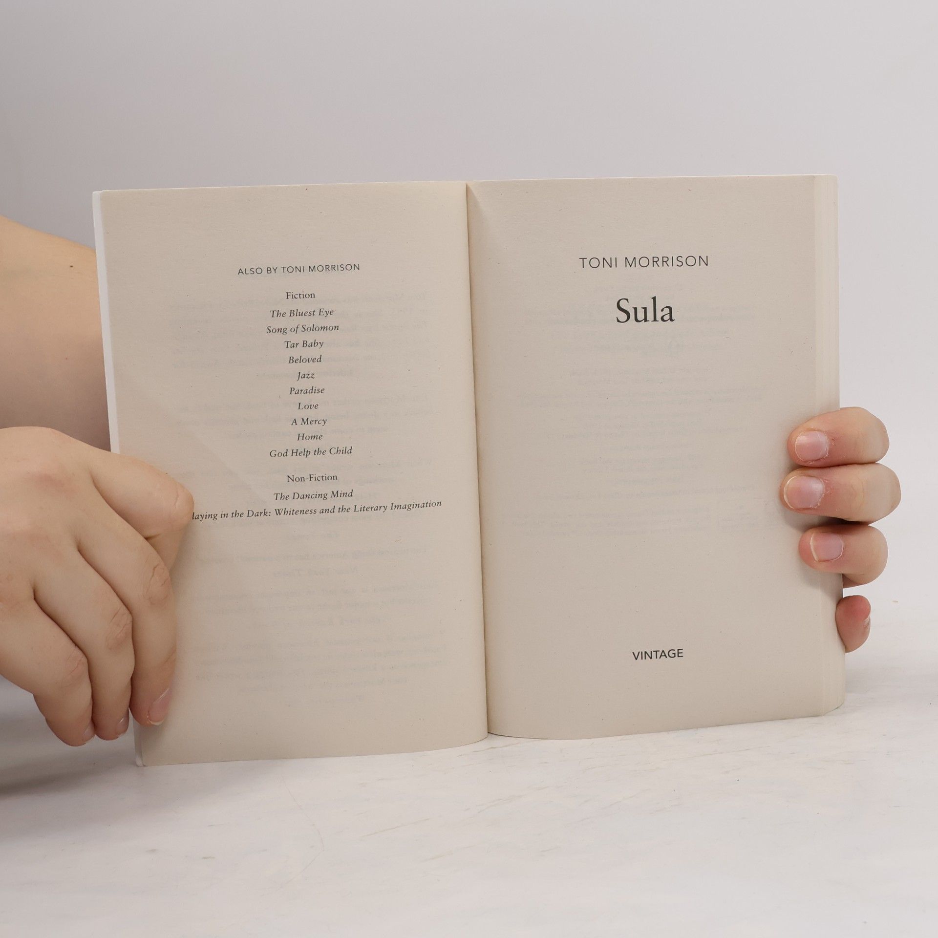 Toni Morrison Vintage: Sula