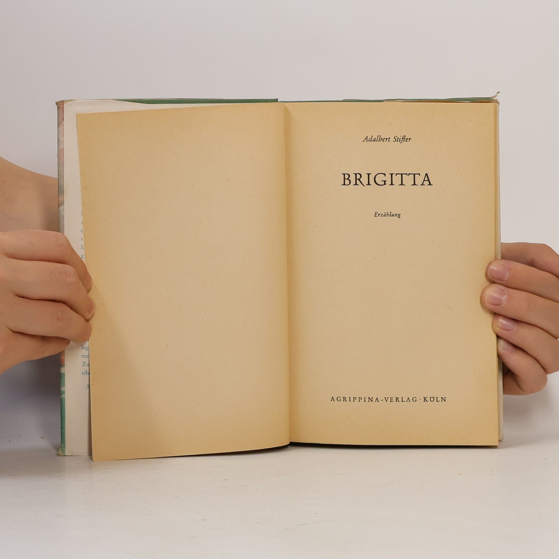 Adalbert Stifter Brigitta