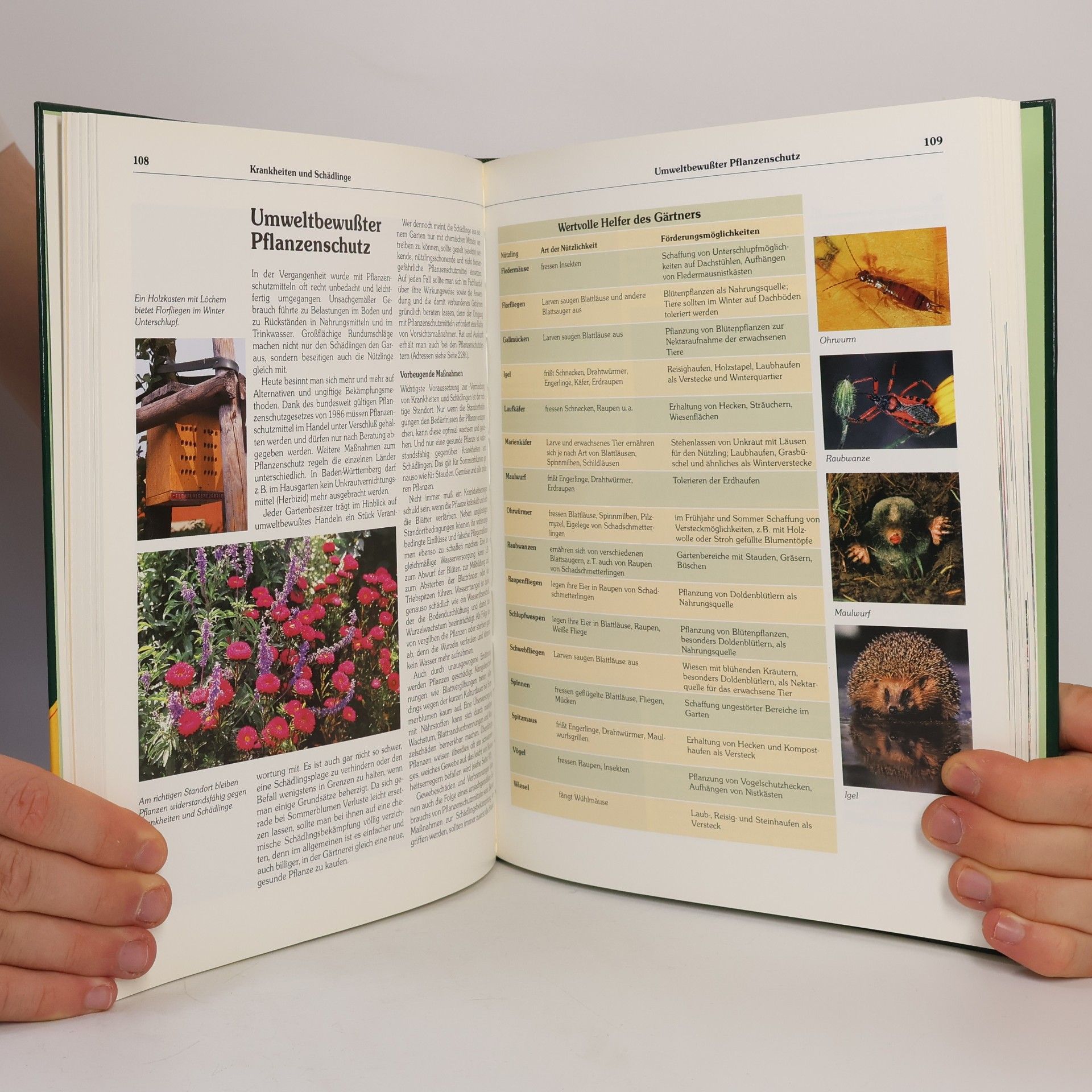 Ernst Deiser Der große ADAC-Ratgeber. Garten. Sommerblumen