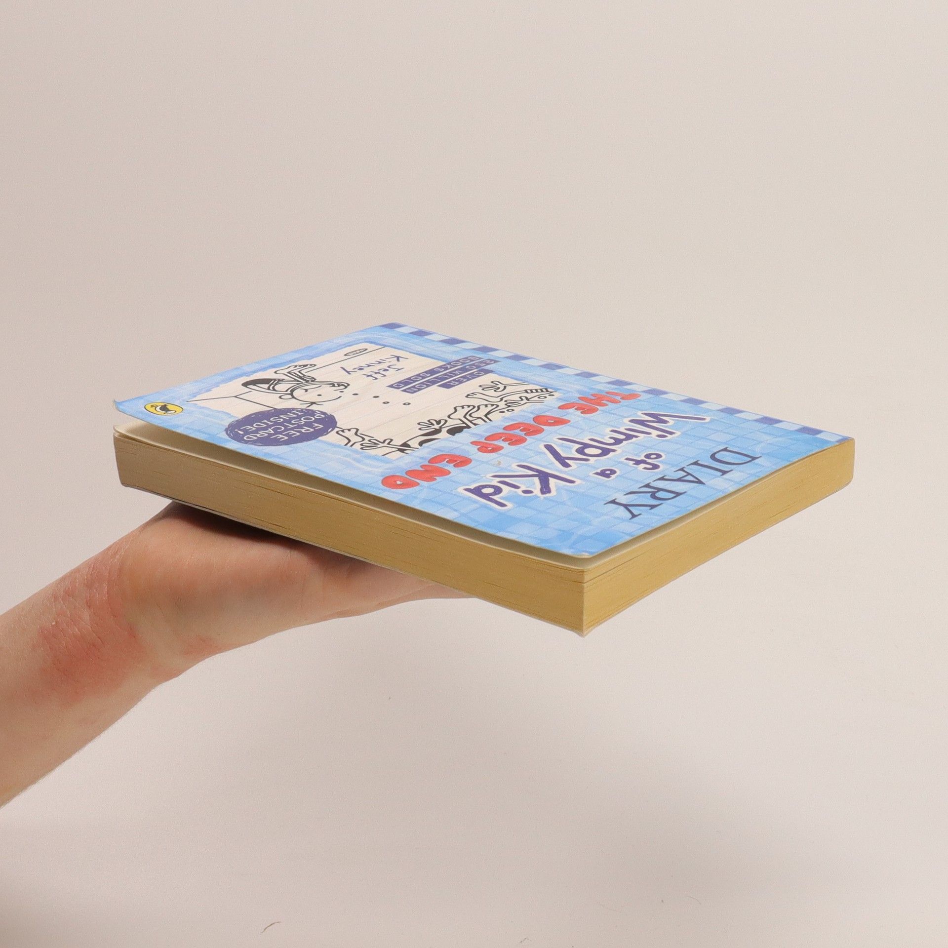 Jeff Kinney Diary of a Wimpy Kid 15. The Deep End