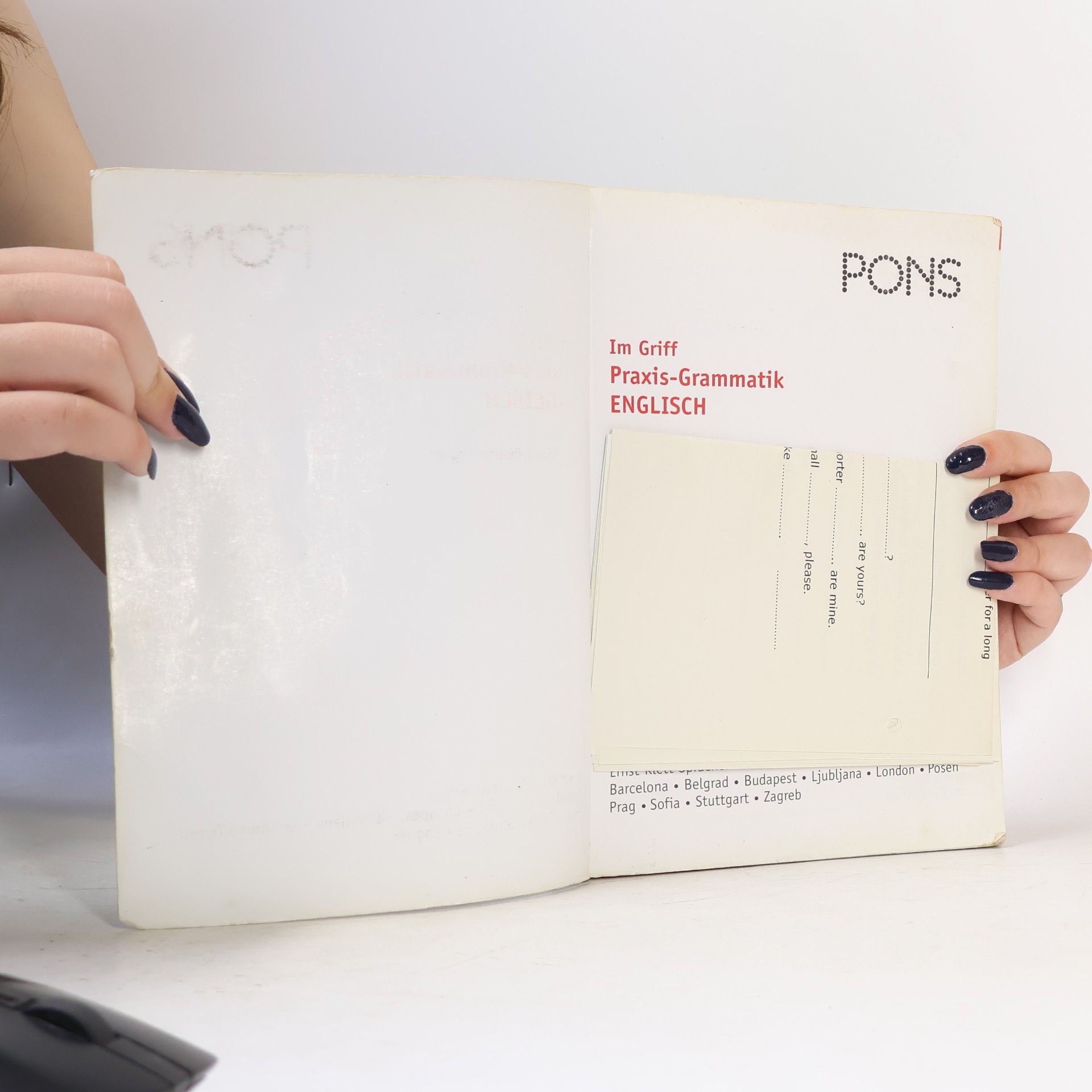 Birgit Piefke Wagner PONS Im Griff - Praxis-Grammatik Englisch