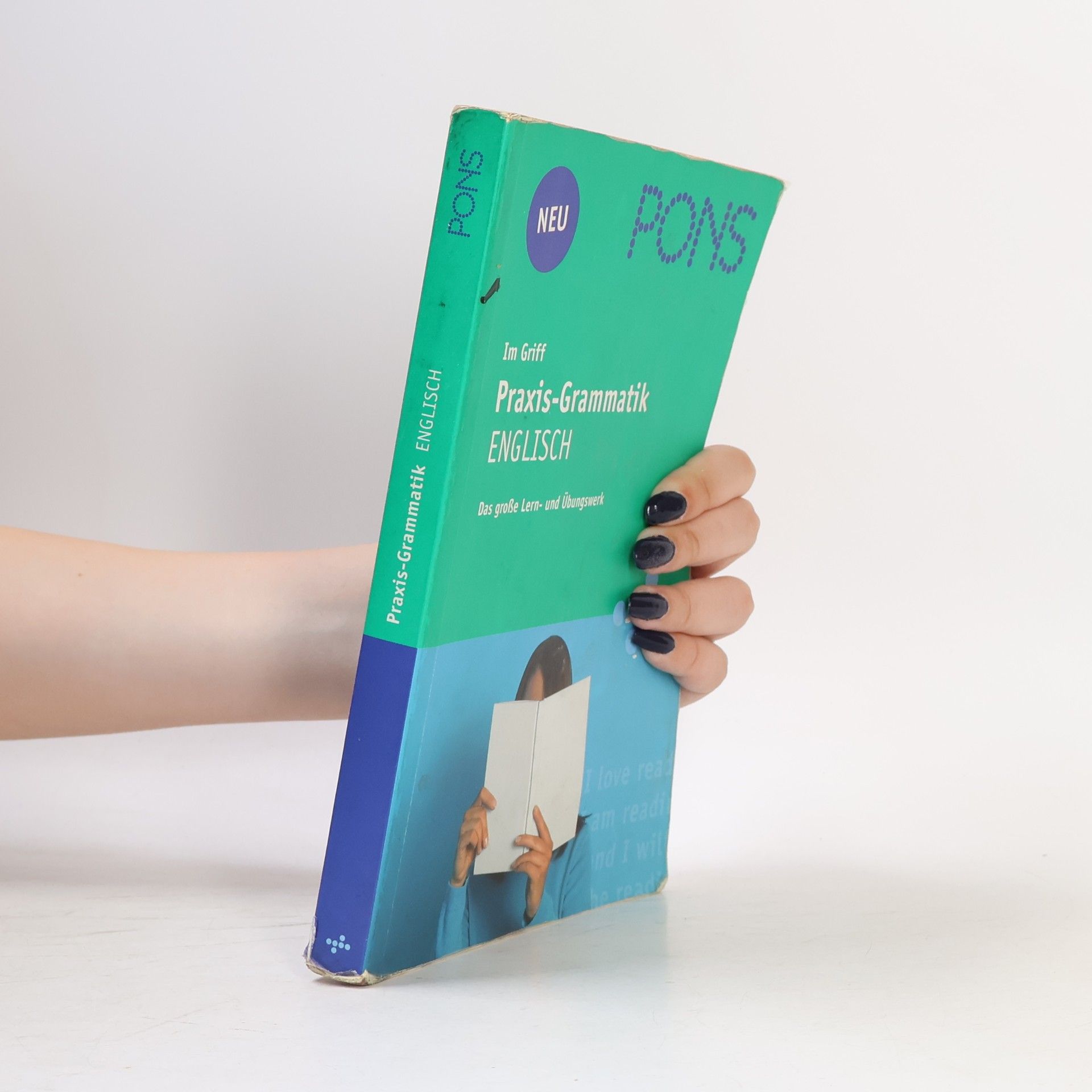 Birgit Piefke Wagner PONS Im Griff - Praxis-Grammatik Englisch