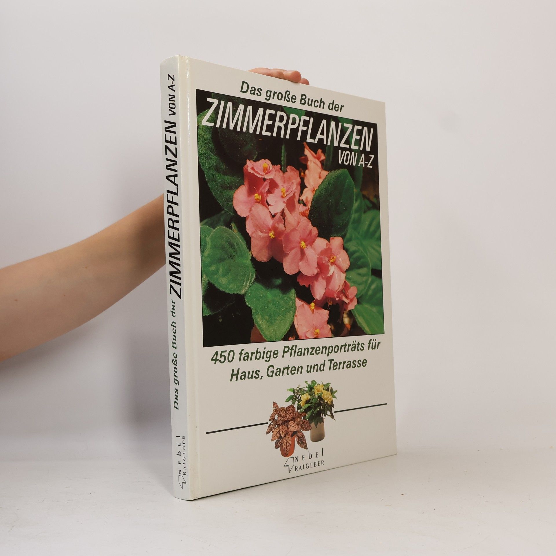 Kolektív autorov Zimmerpflanzen von A-Z