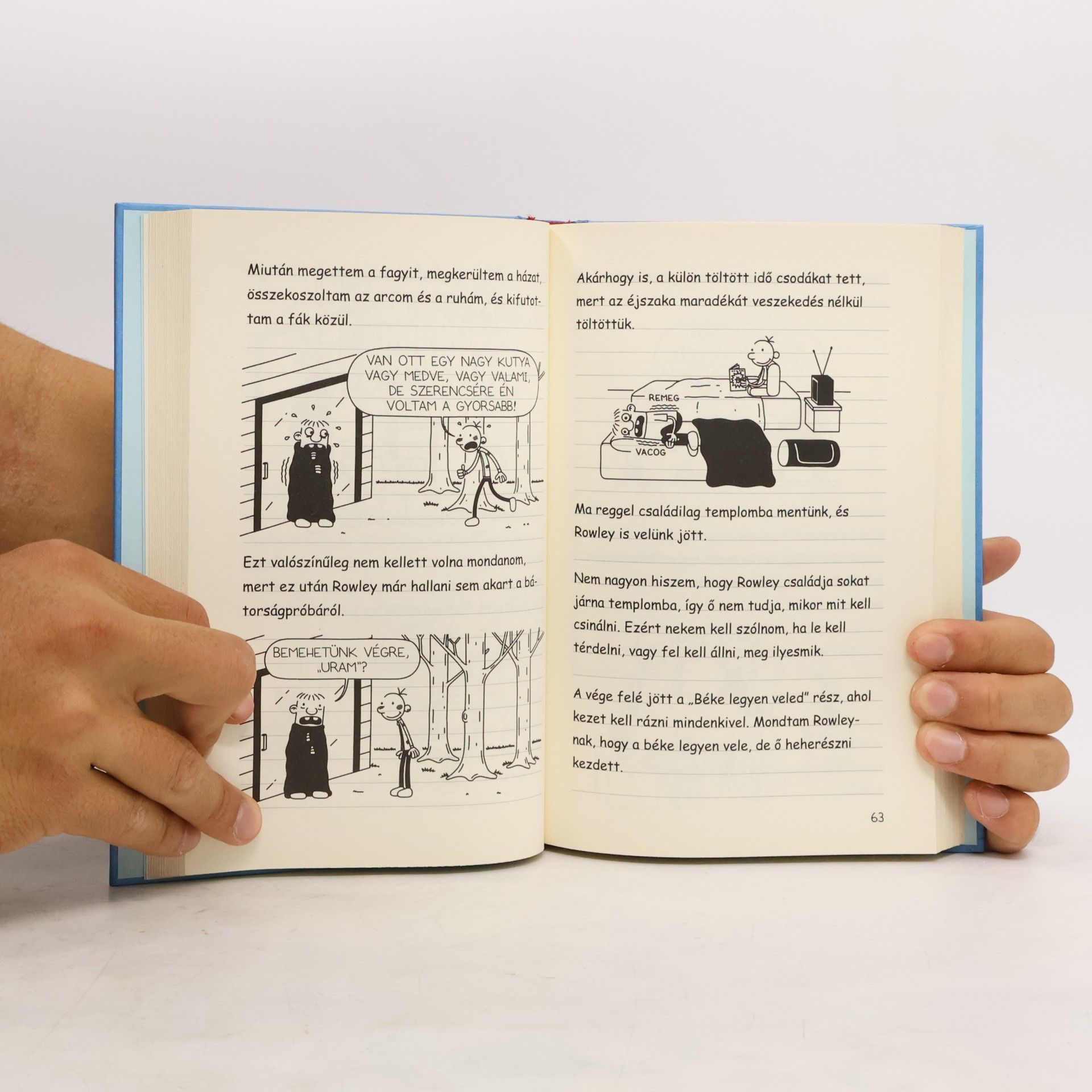 Jeff Kinney Egy ropi naplója: Négy fal között