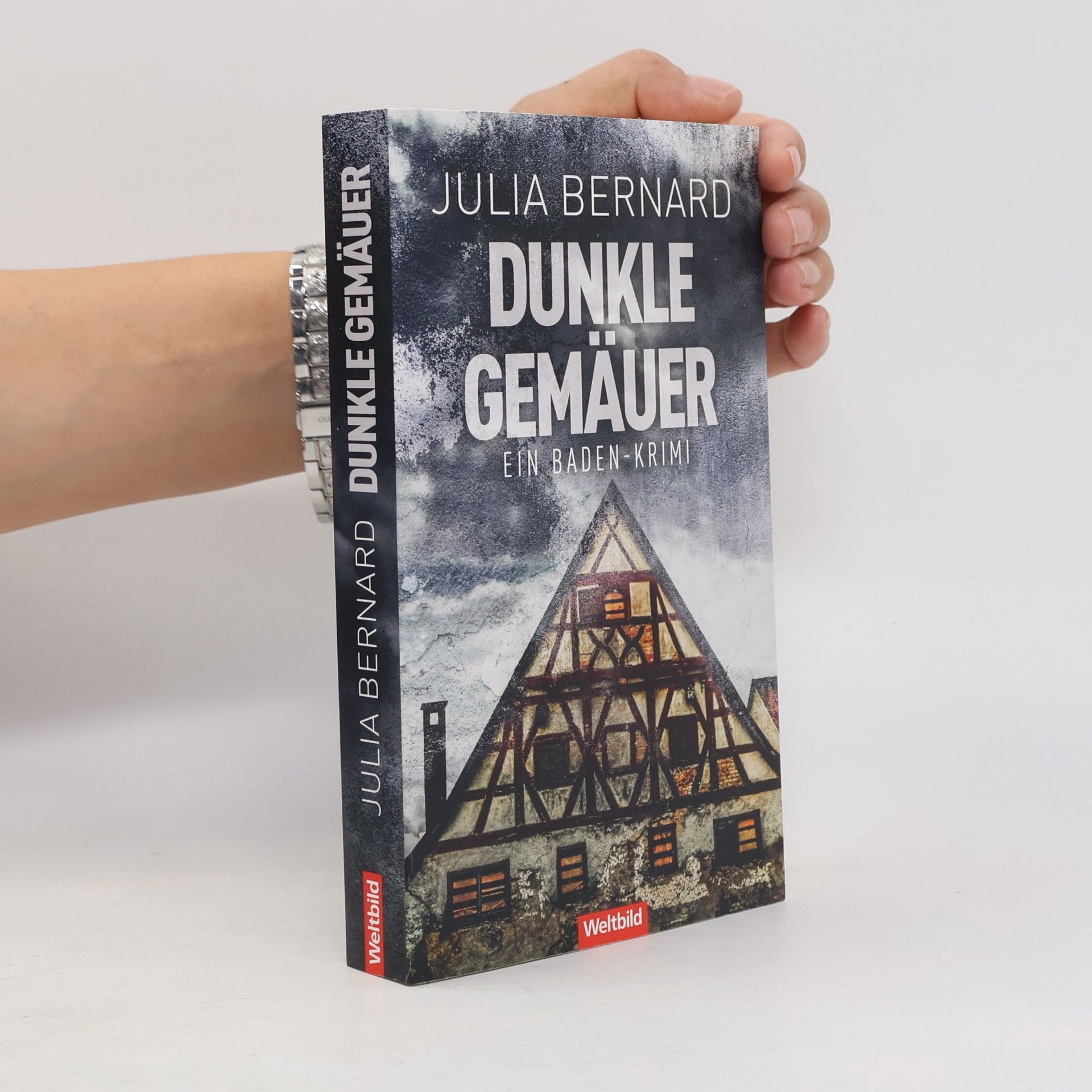 Julia Bernard Dunkle Gemäuer