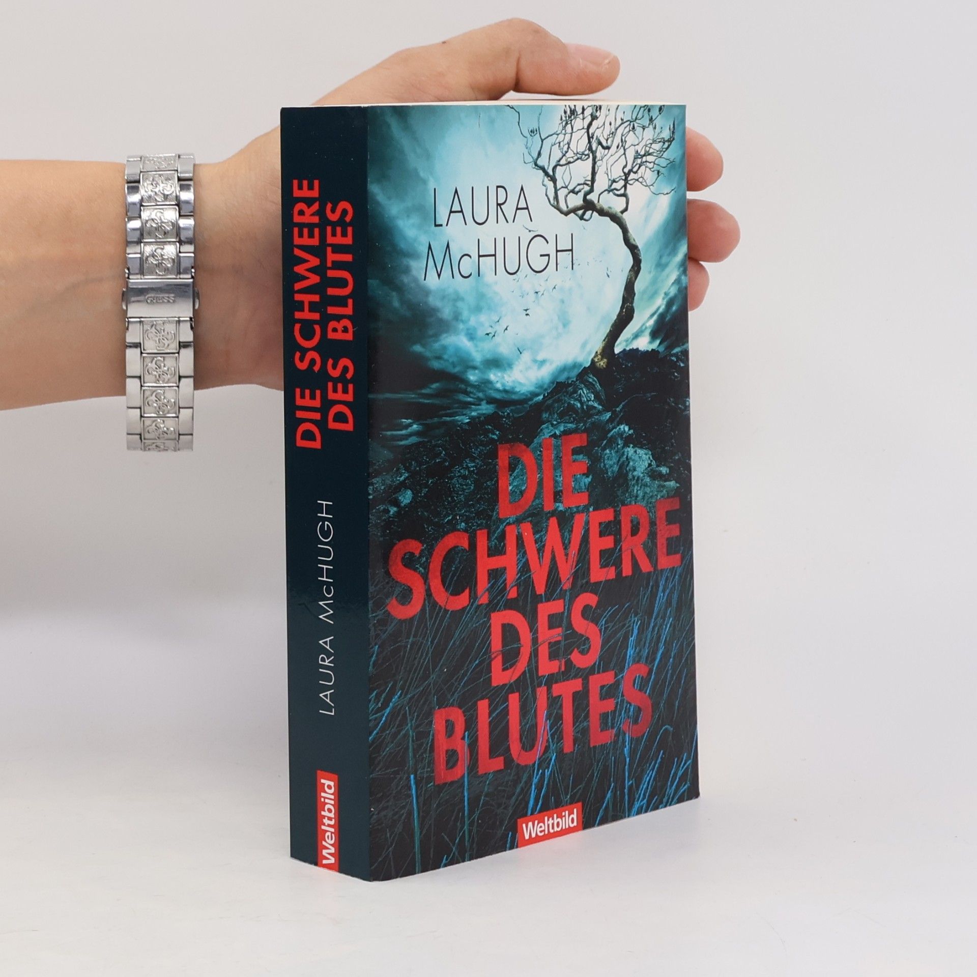 Laura McHugh Die Schwere des Blutes